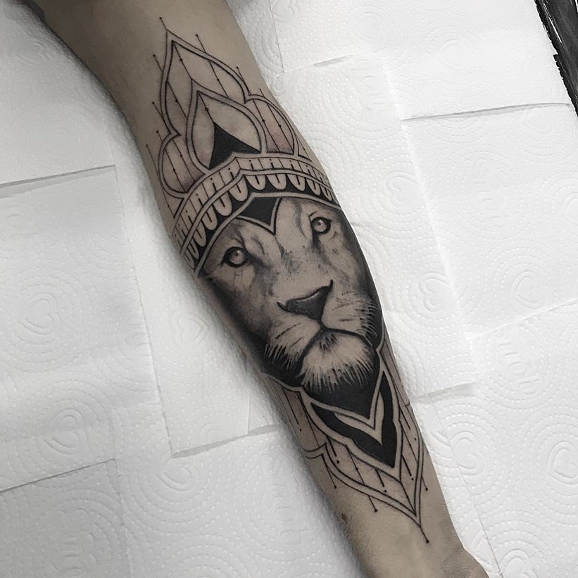 19ig6kj6rxep1up1oprq w