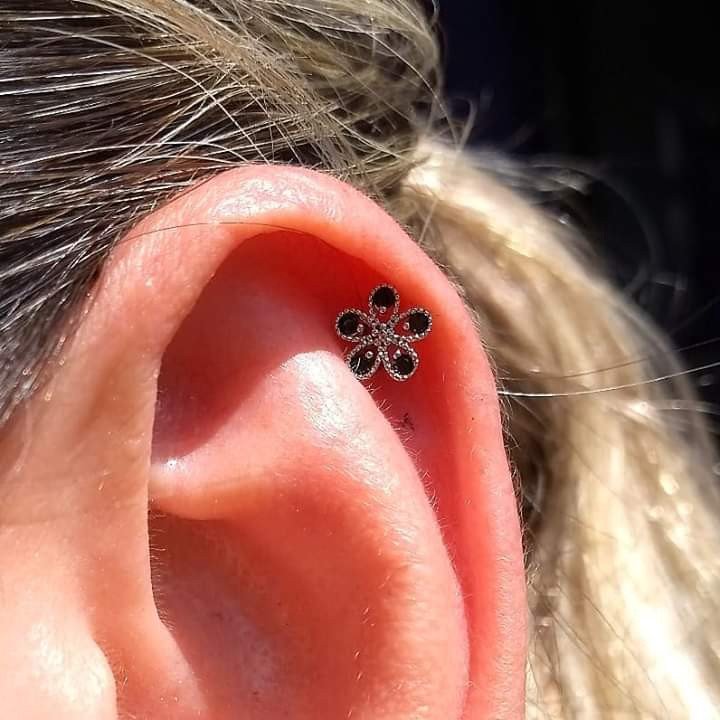 1_bdfzqxwggiesfdwotnjma