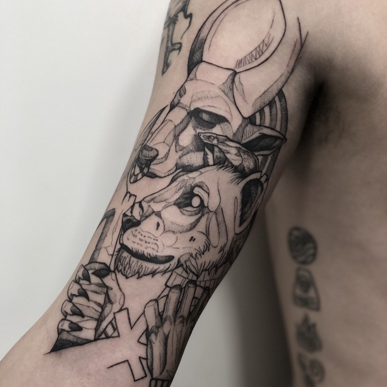 1a6dh-owza9lntog9me3l_w 1a6dh owza9lntog9me3l w