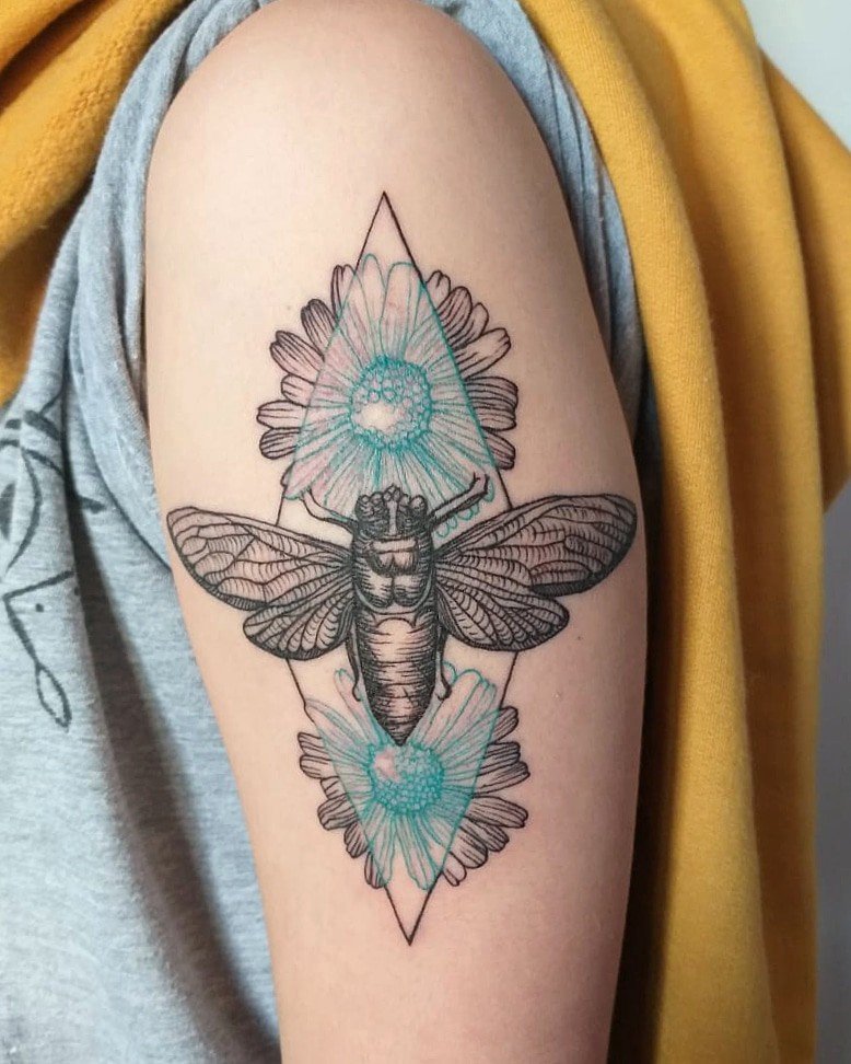 1aob9mqd3nkz7u7kgn66rla 1aob9mqd3nkz7u7kgn66rla