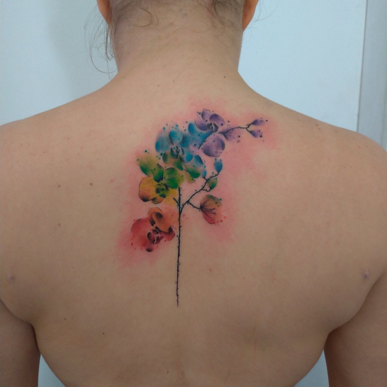 1b6p9c8o1htnymwkr8s4l8w 1b6p9c8o1htnymwkr8s4l8w