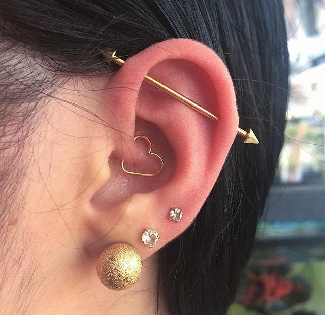 1cfchdfat94siirnbismvjg 1cfchdfat94siirnbismvjg