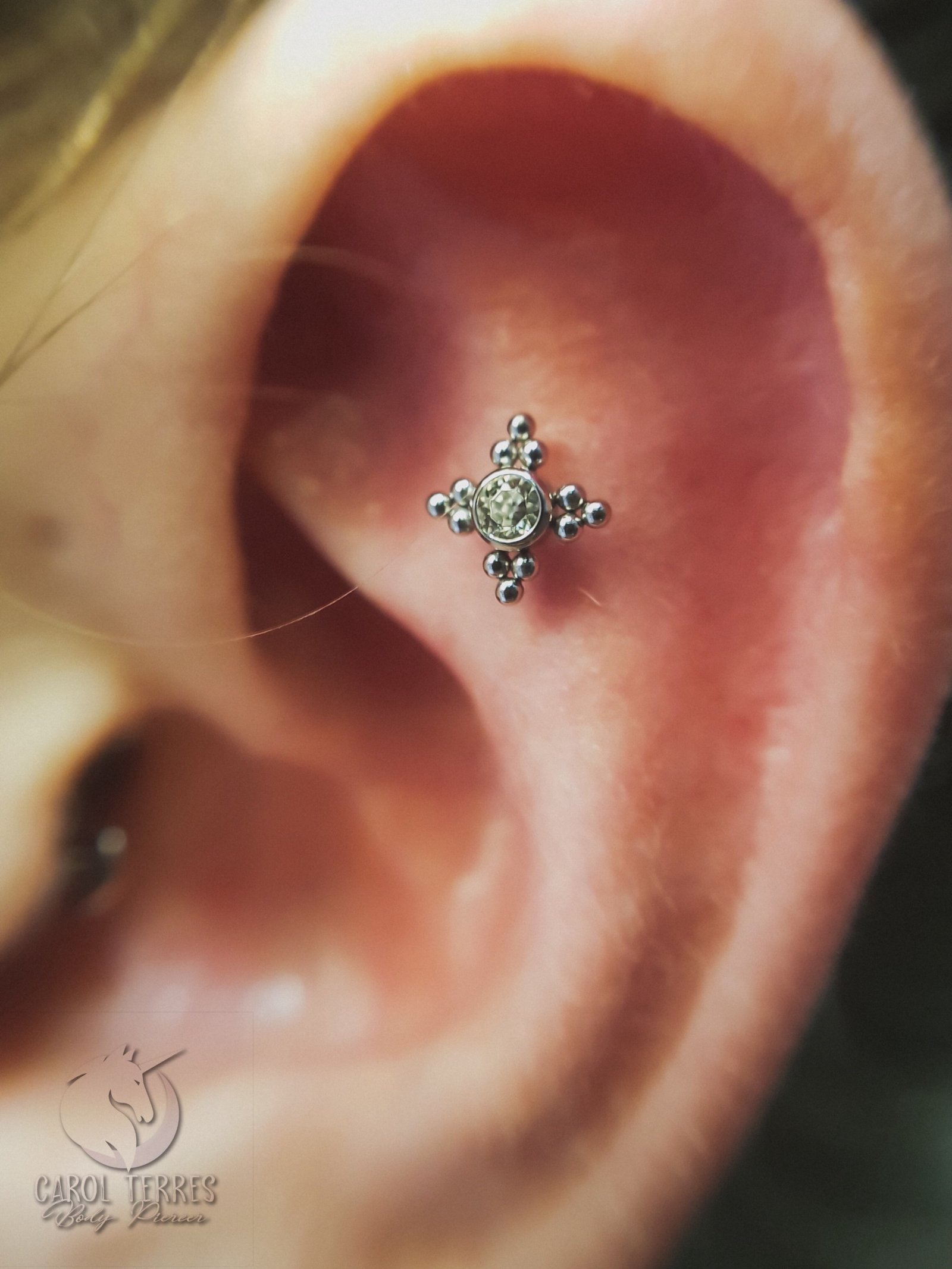 1cmqha2c3jyv1s4etkynvtq 1cmqha2c3jyv1s4etkynvtq