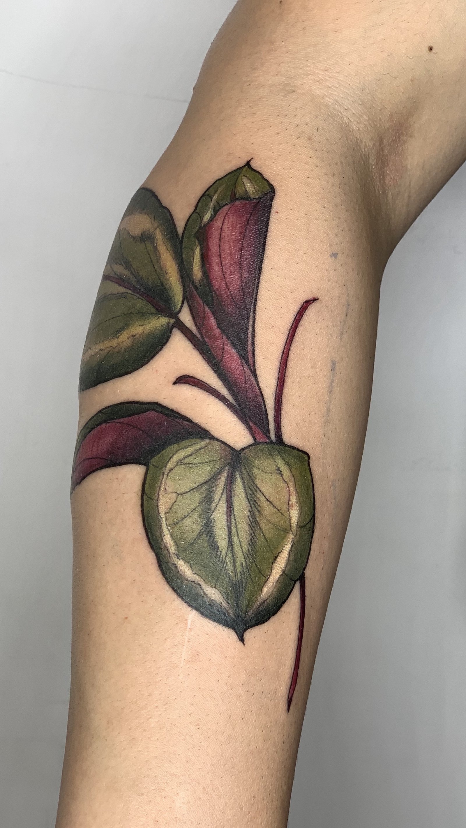 1crilrantwgjxormiznwcbw