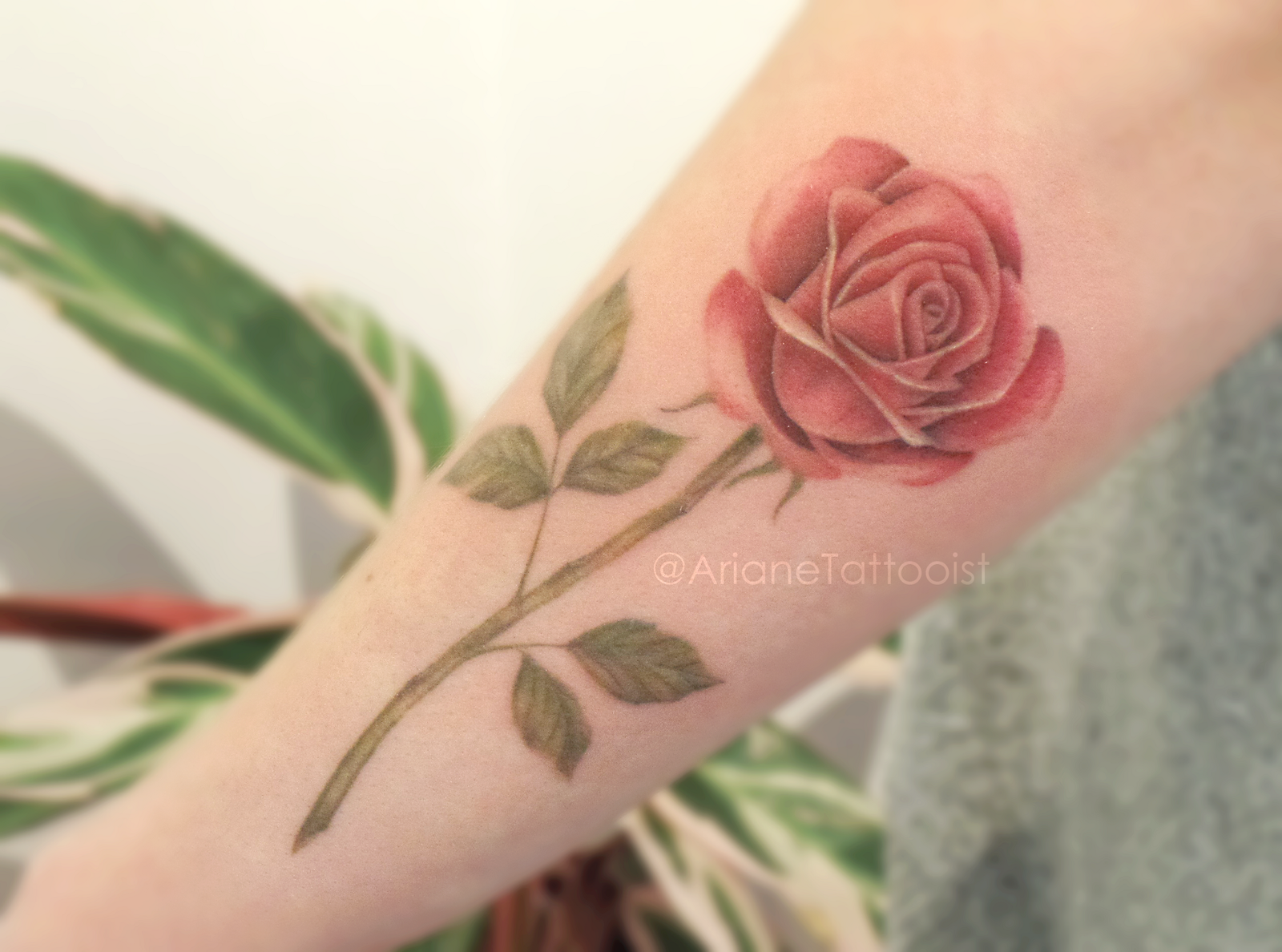 1crm-edknyaacnjp30tszxw 1crm