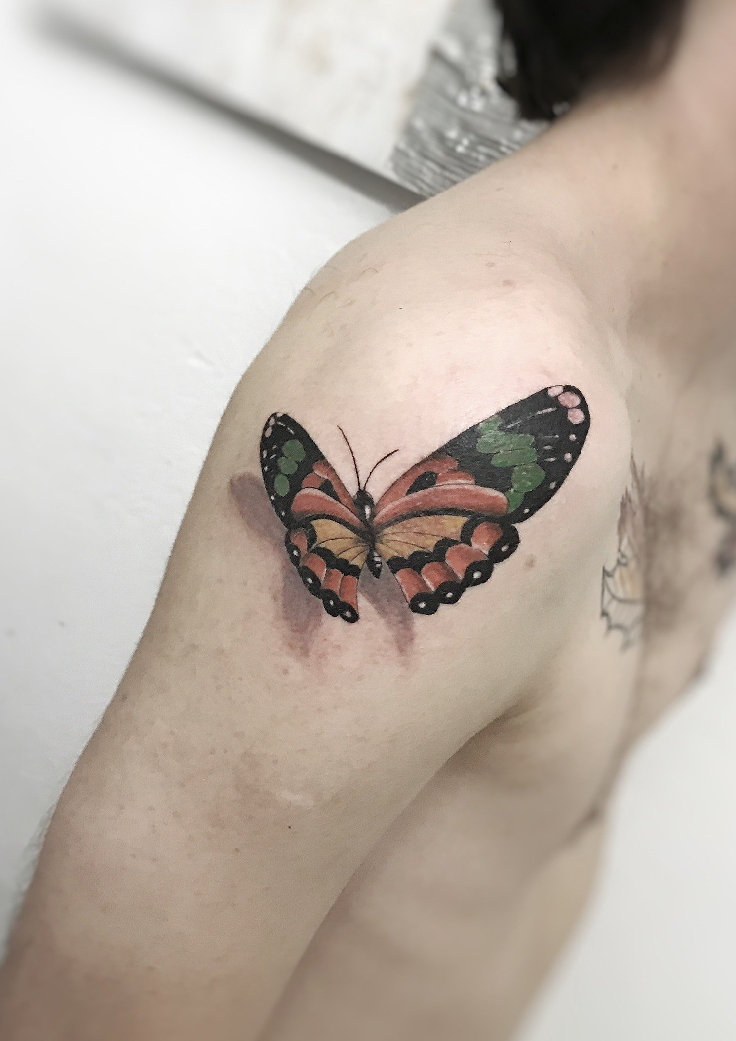 1d2r61grfz9c6bpgnlwjkxg