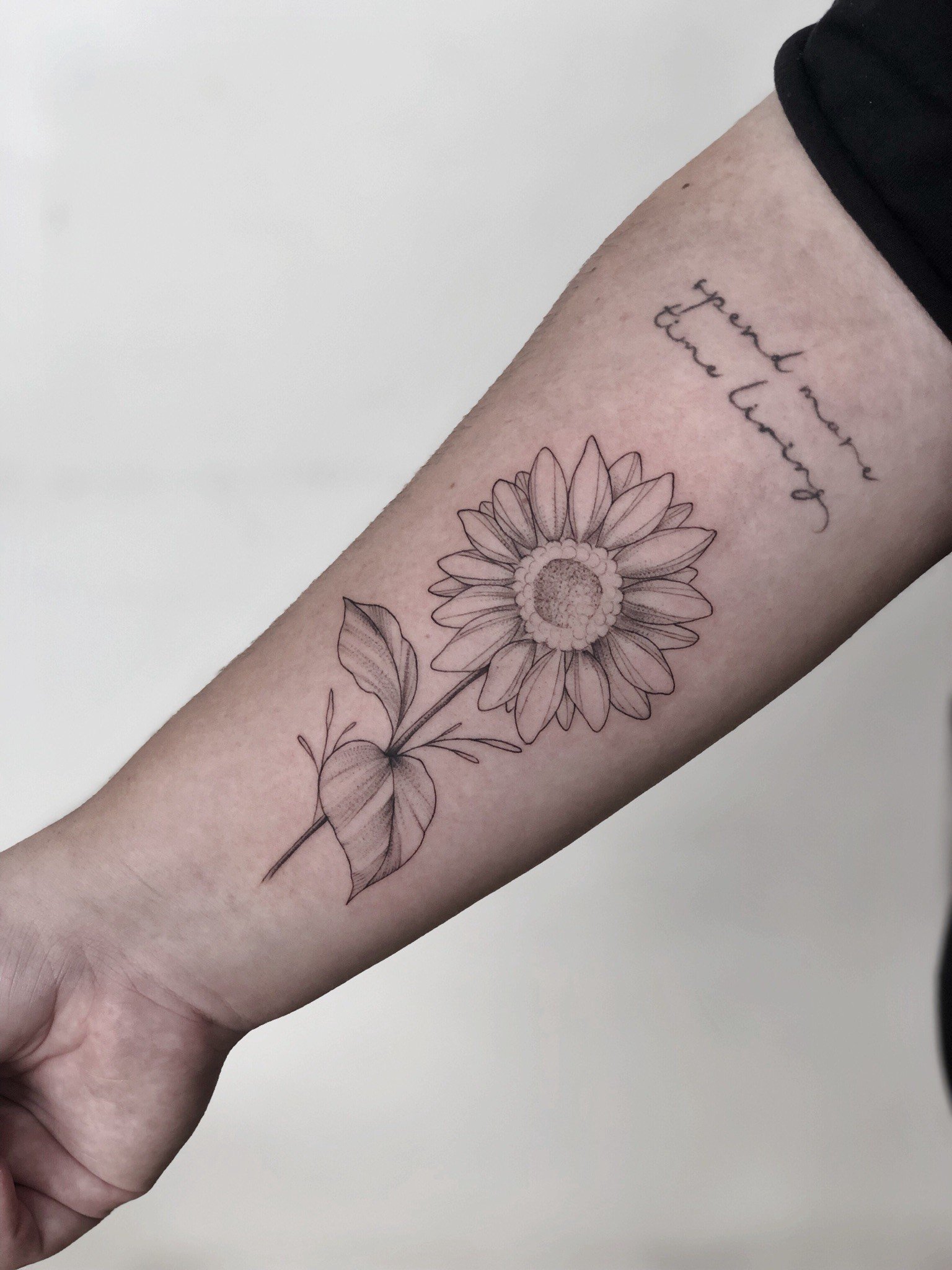 1d5npgorwv4fjhdktoipjrg 1d5npgorwv4fjhdktoipjrg