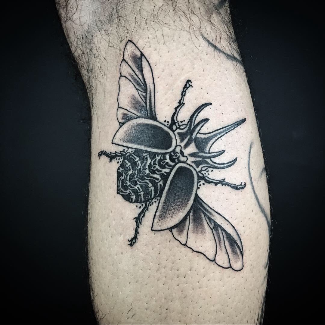 1drzlfz8msedutaeauzs4ow 1drzlfz8msedutaeauzs4ow