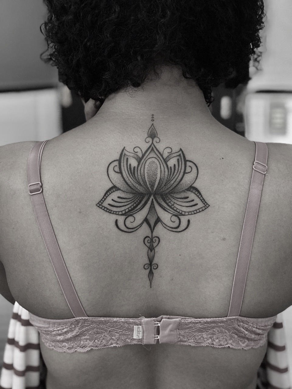 1du fipfq6p2qpyte5dckaa