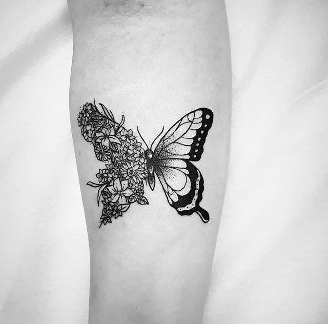 1e5ok8t3wyzmppk-dd01dgq 1e5ok8t3wyzmppk dd01dgq