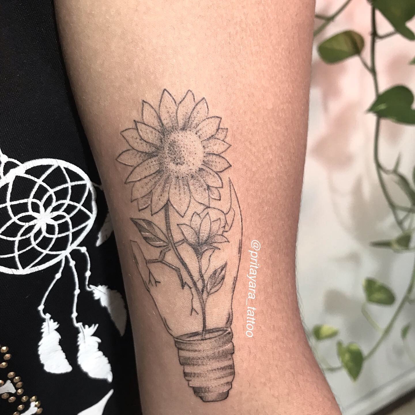 1eemx3gnkpouiehlusntkwq