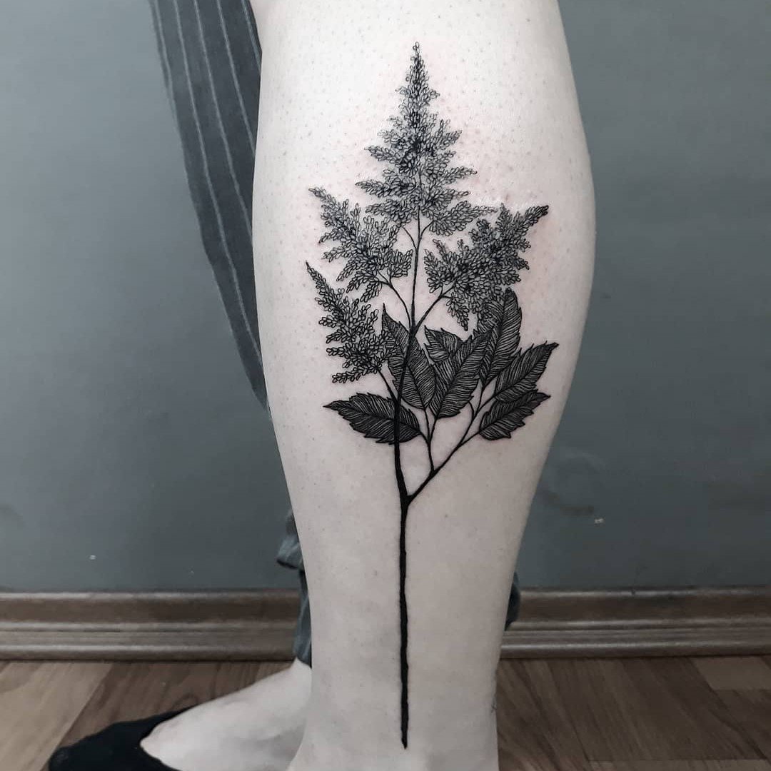 1efq0yzisprmy_izzjzr5sw 1efq0yzisprmy izzjzr5sw