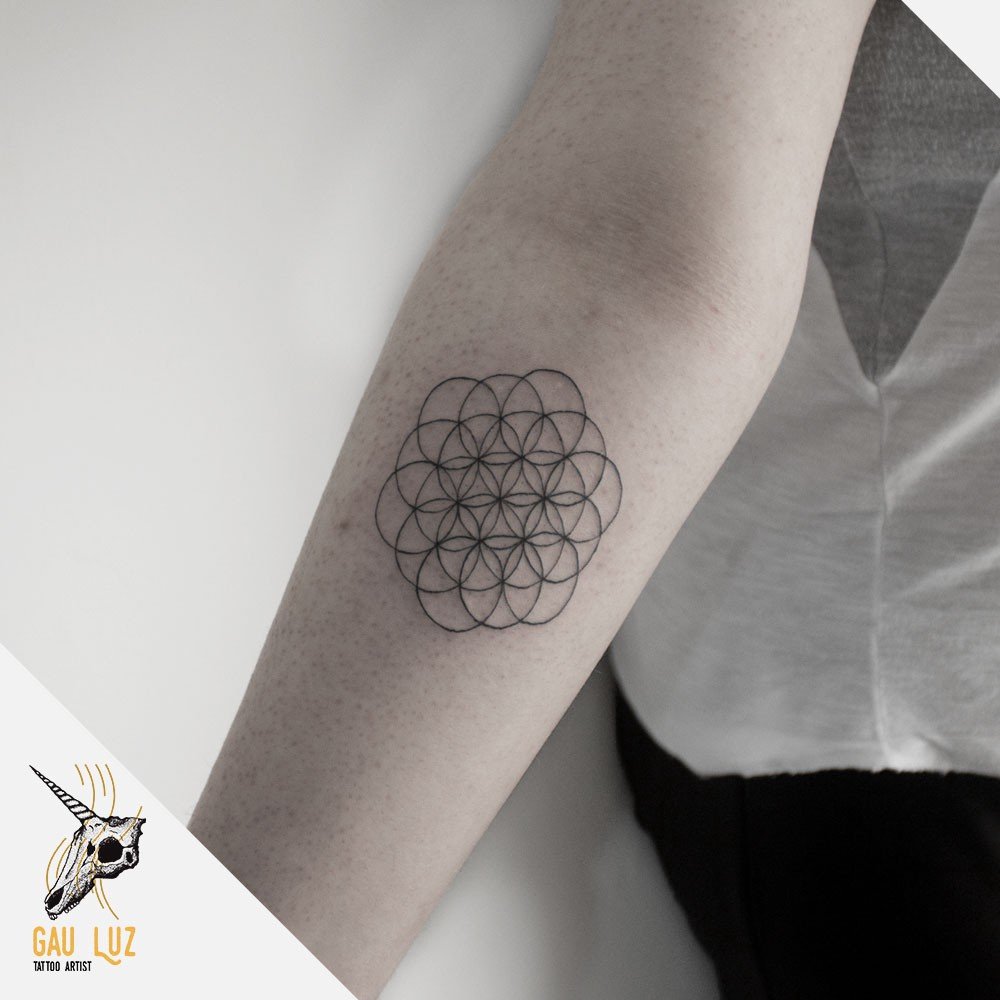 1ek3beg7pzm9fgofvbvnmrq