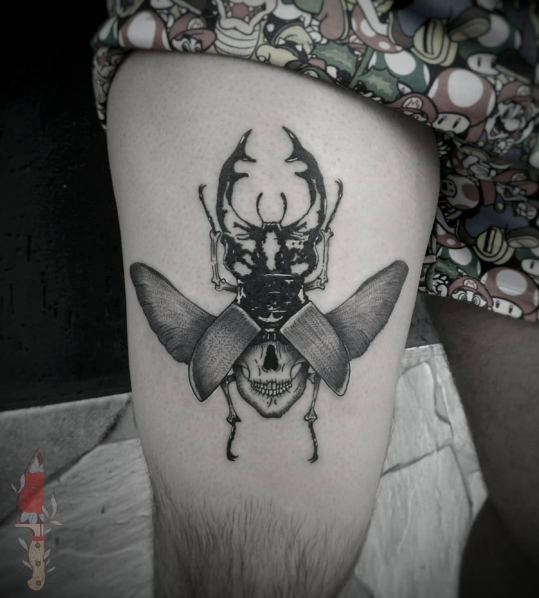 1eyp5z8tuo6cuxe1vcxcp1g