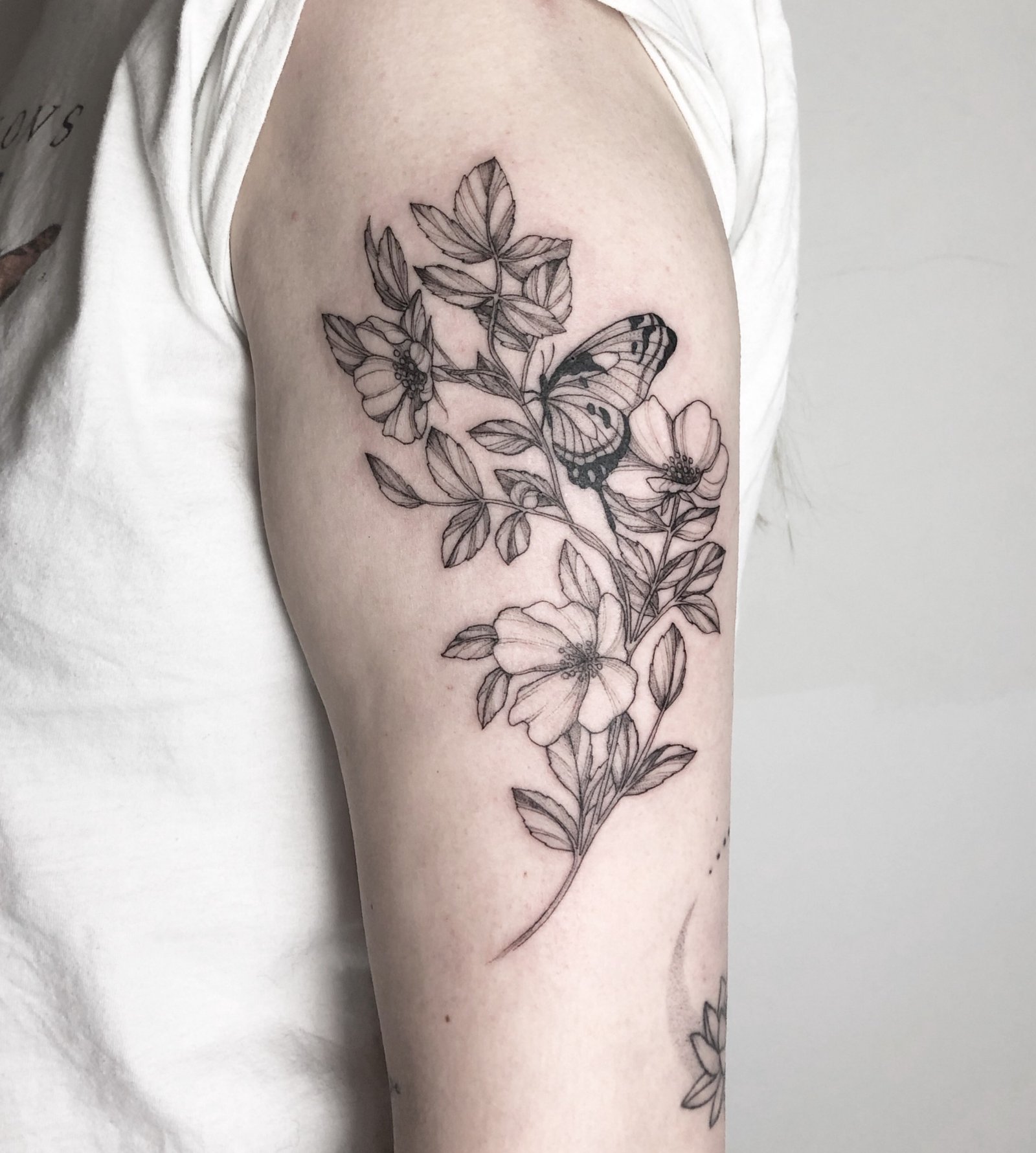 1fefcgl_blpnbx1fayfw0ta