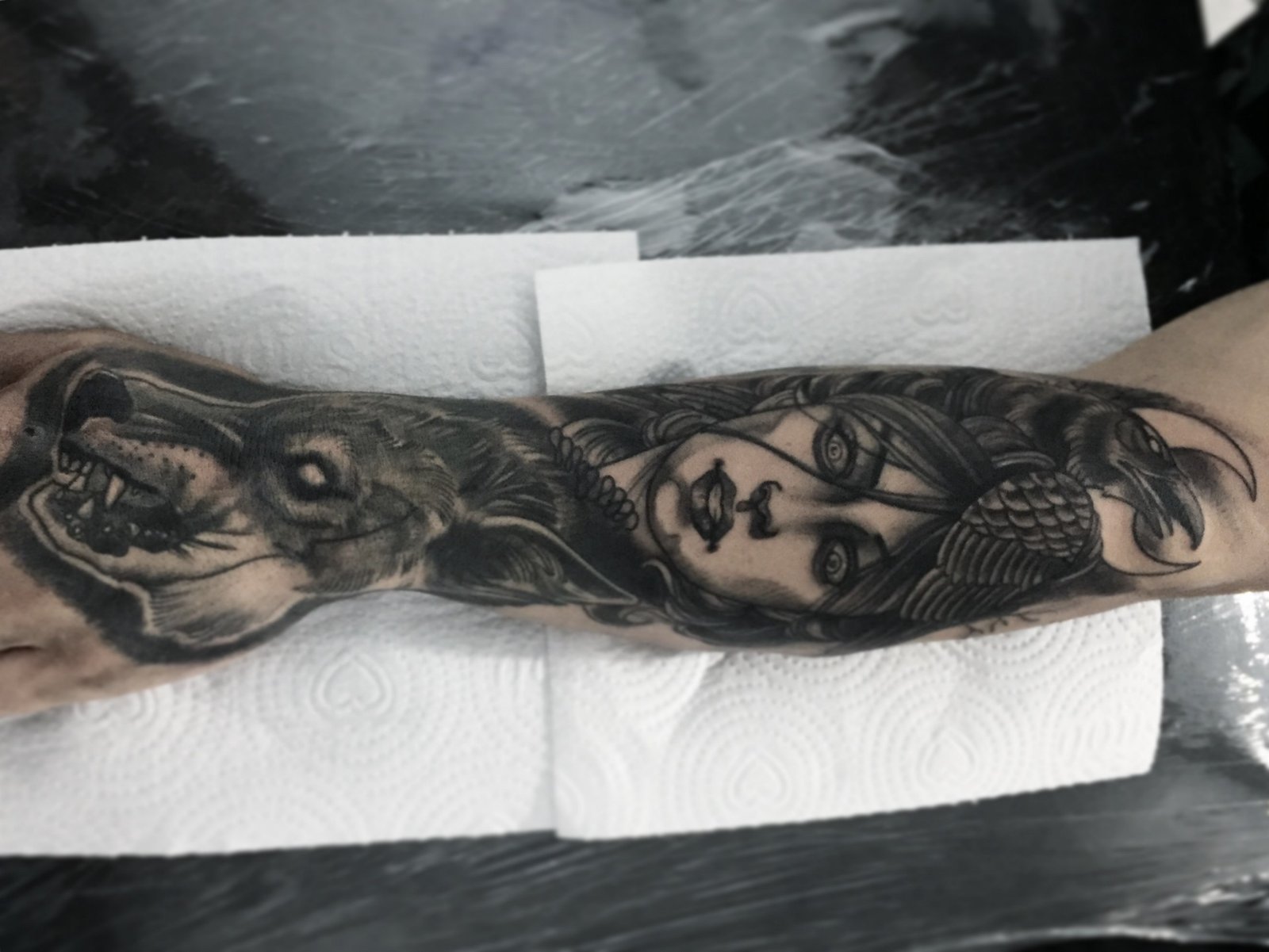 1flm_okonqygitka9lev-tg 1flm okonqygitka9lev tg