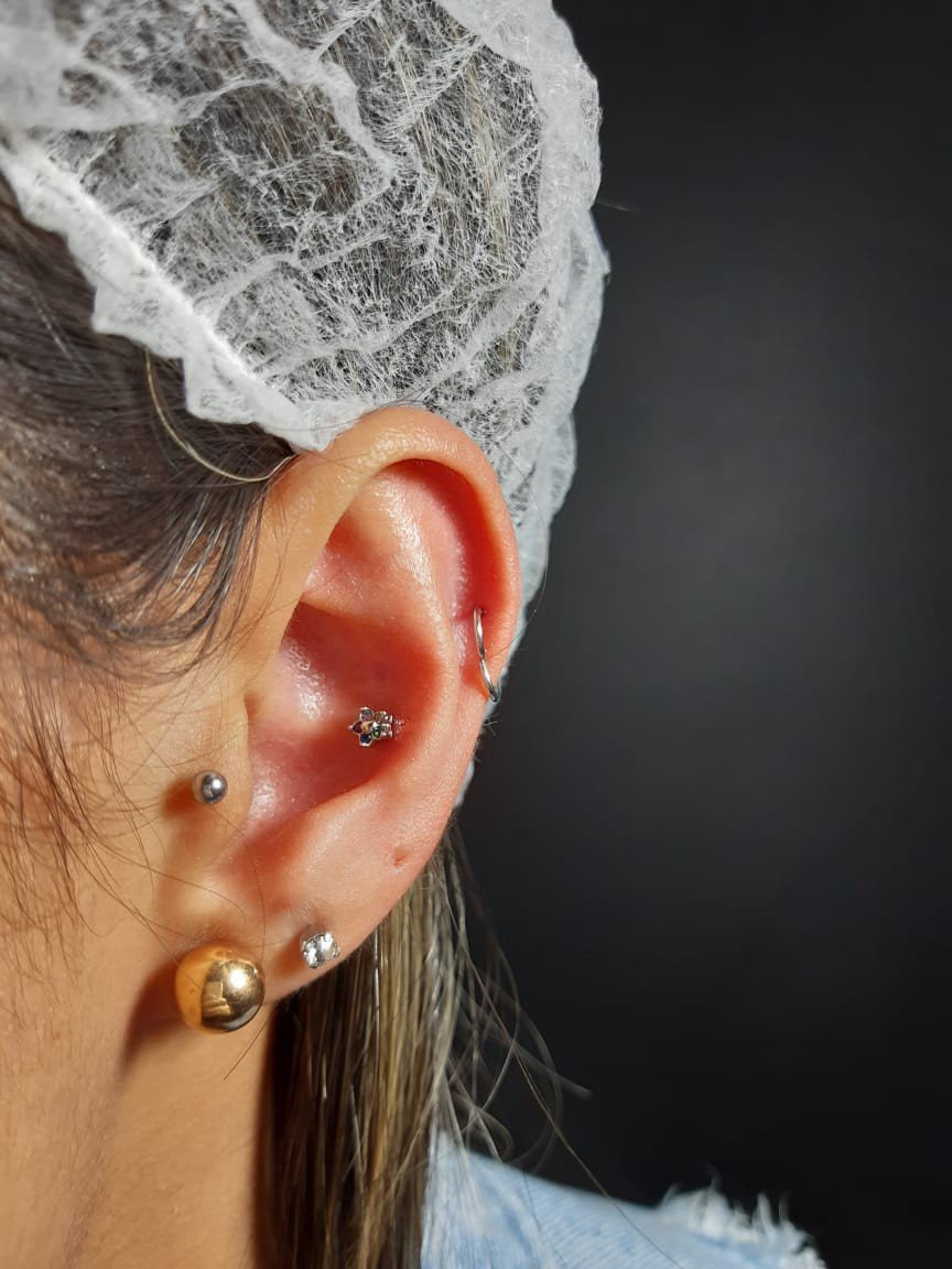 1fwhhe6tp2hnhveup-zxw8a 1fwhhe6tp2hnhveup