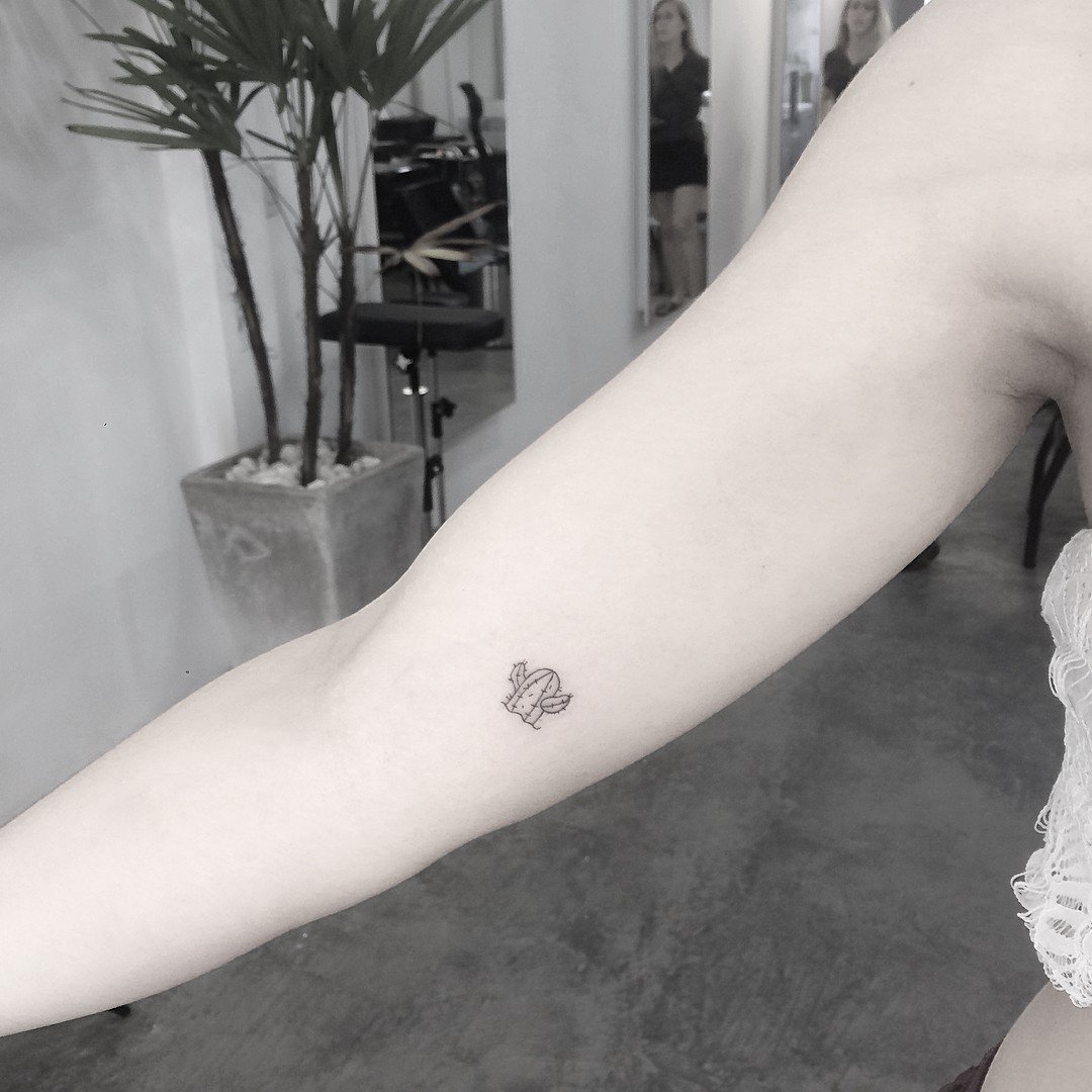 1fztivqfxu2_cwirulzidpw