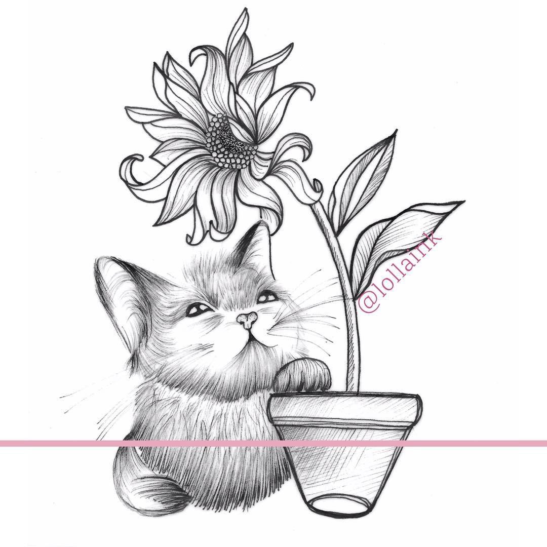 1gokgglysuq-hcol3ejkomg 1gokgglysuq hcol3ejkomg