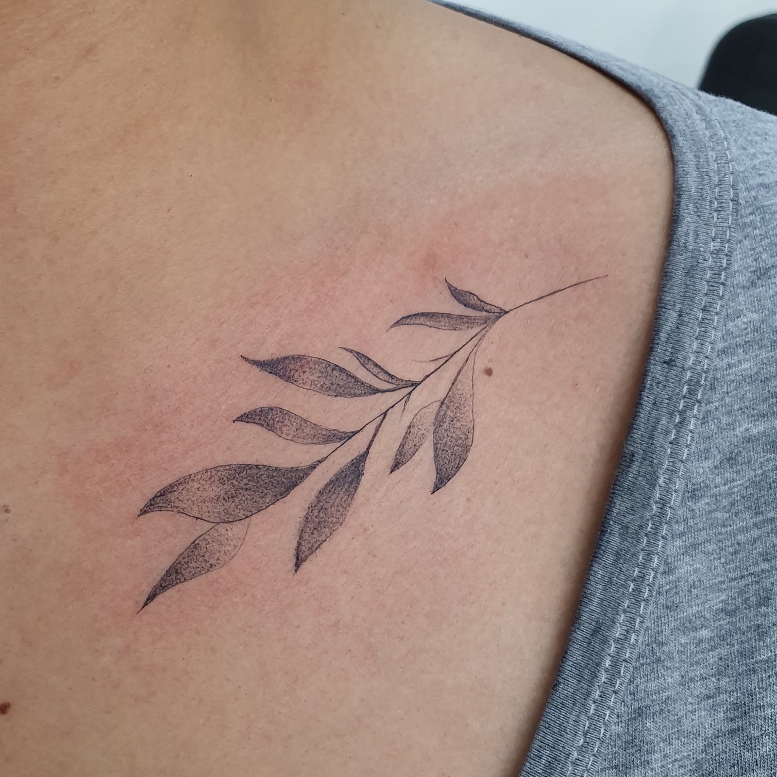 1gp4djk_zwobct2by4d0tha 1gp4djk zwobct2by4d0tha