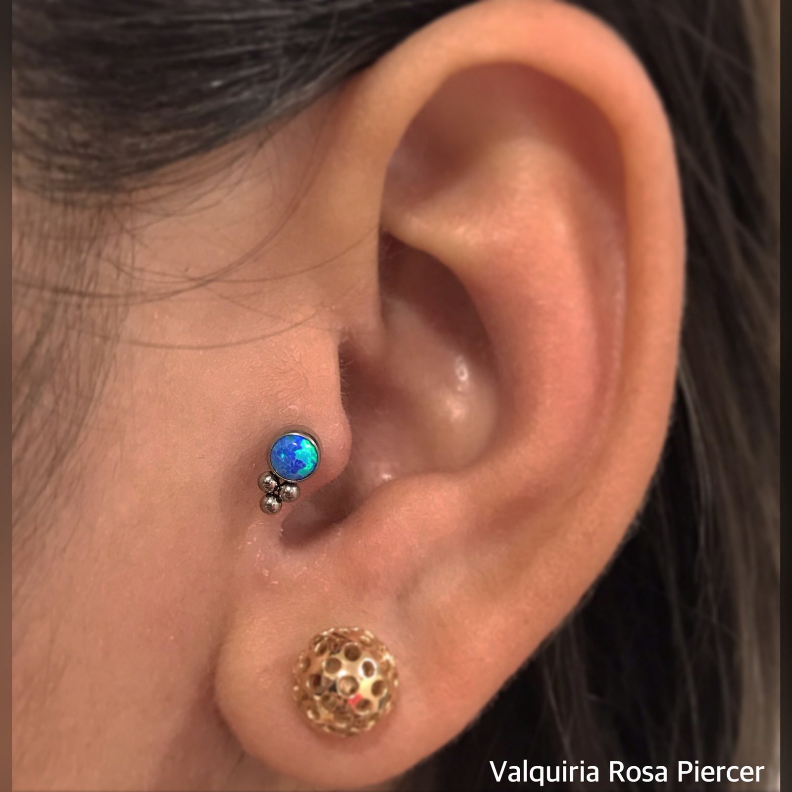 1gy7q7vmj44h7k1yaahozog 1gy7q7vmj44h7k1yaahozog