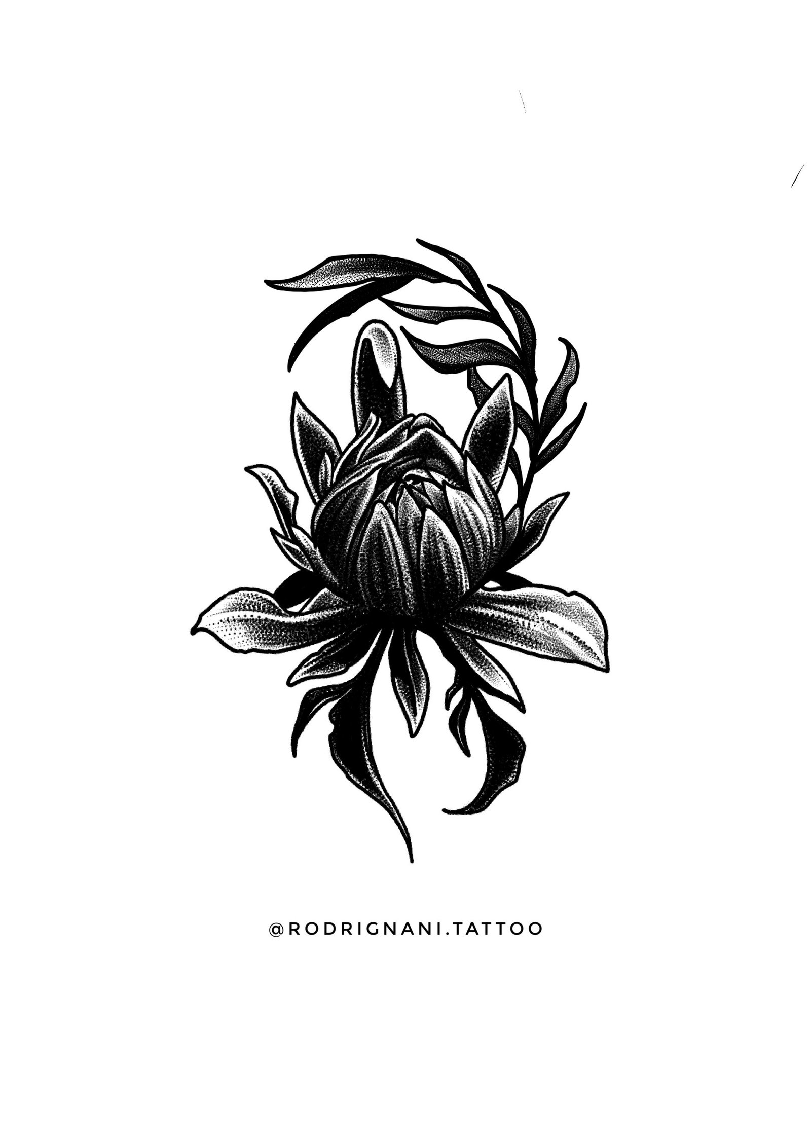 1hkdqi9p91zfshz8znv_vua 1hkdqi9p91zfshz8znv vua