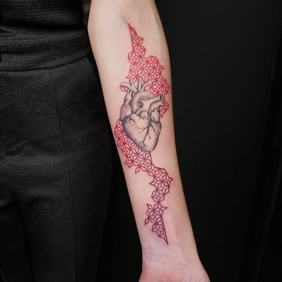 1hmdnk7ltoymptmwl6-9zcg 1hmdnk7ltoymptmwl6 9zcg