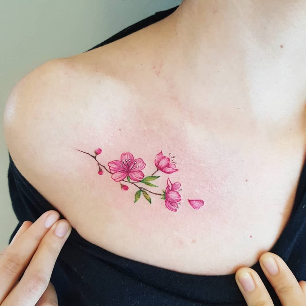 1hyjkbshexan7ltiaprahlg