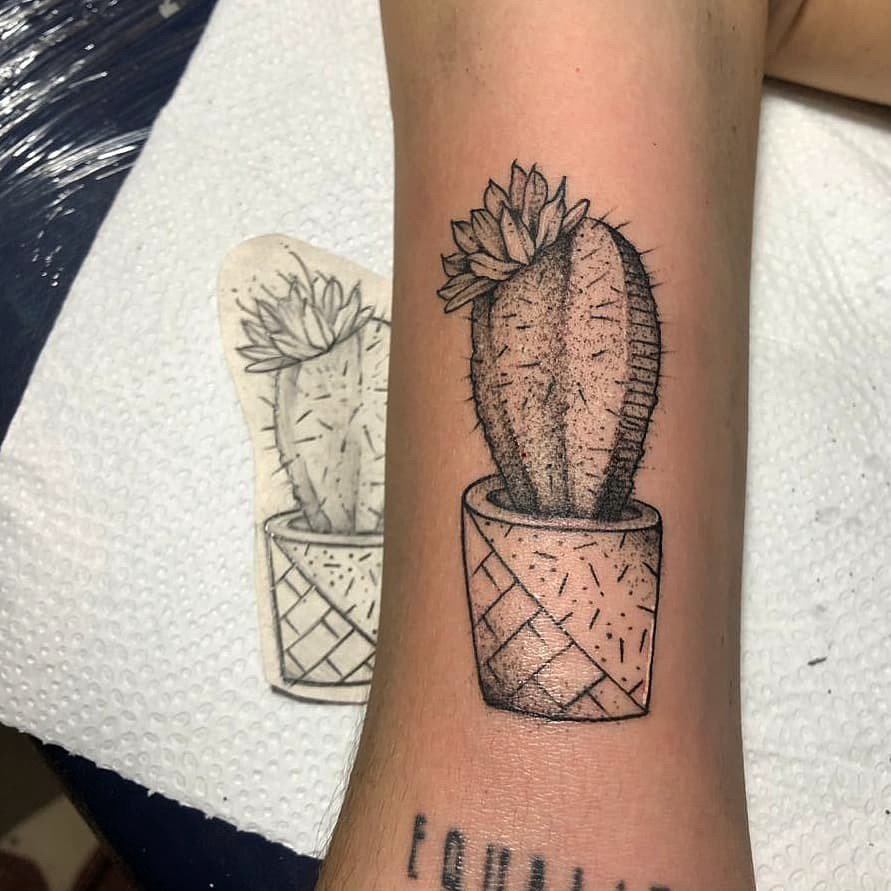 1iofn4o0yvrhd2dtdthi 9q