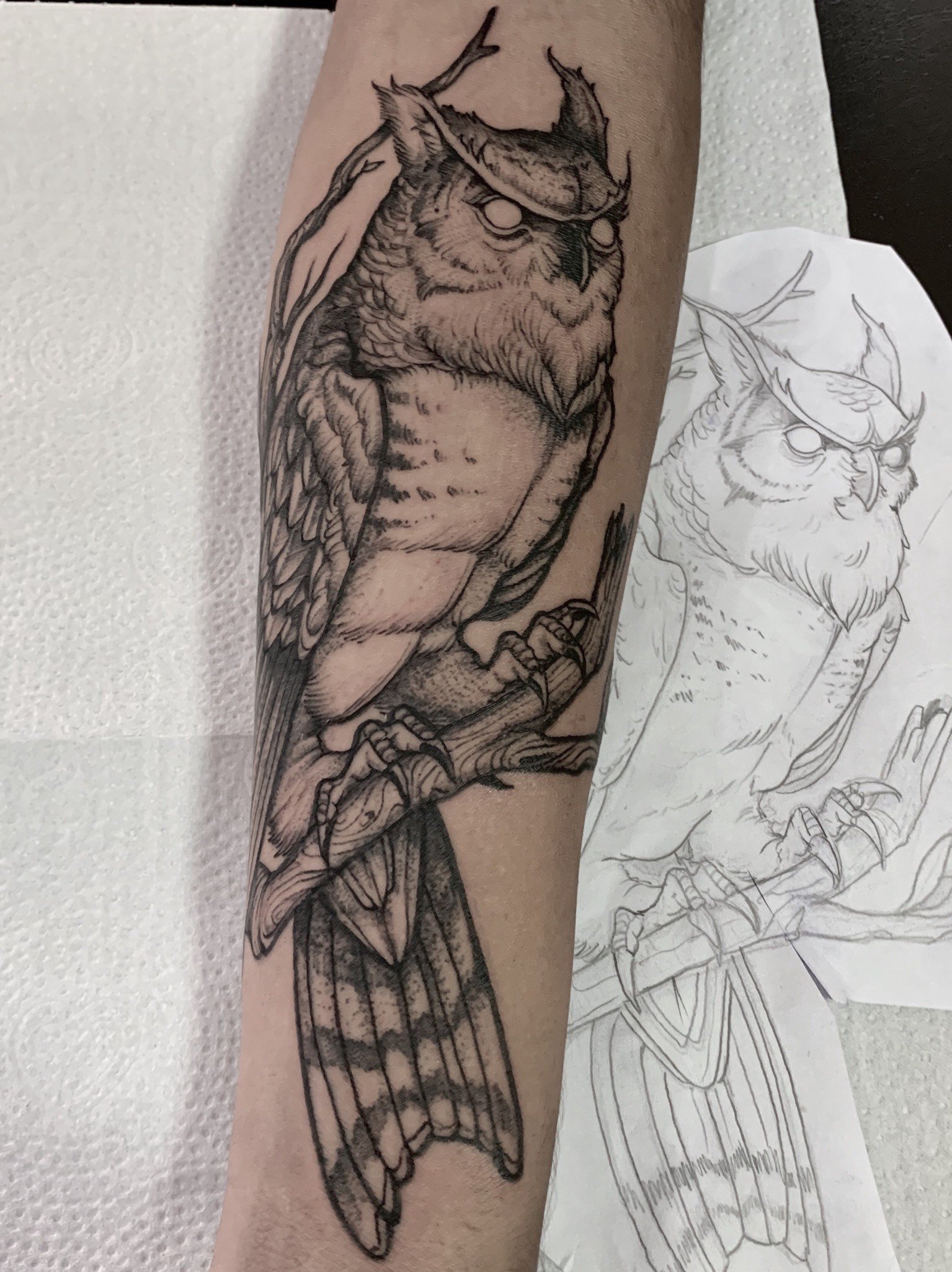 1izdpwfxgferqepvwzz0jog