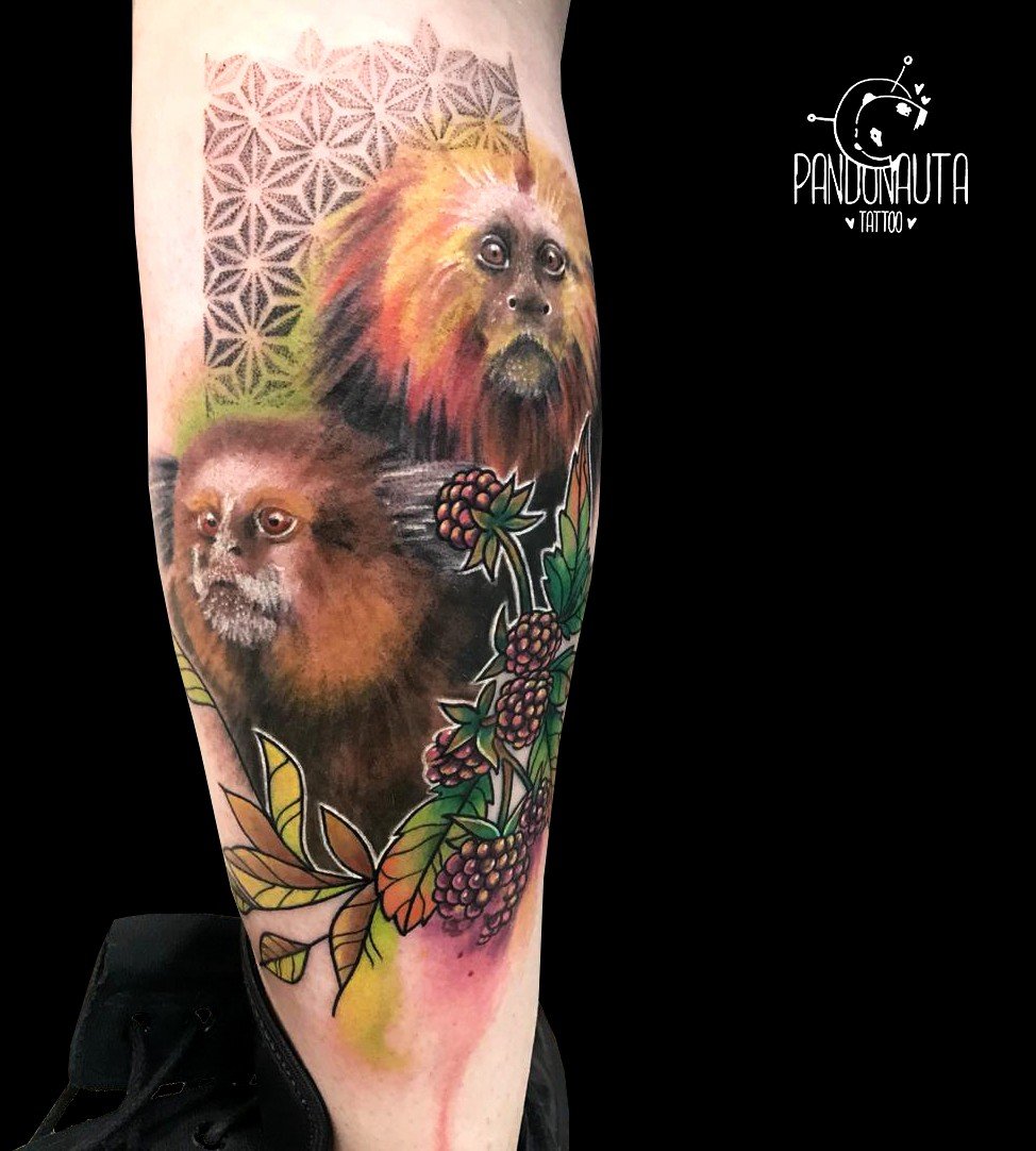 1j4x1t6h8q1kvtzyd23zaha