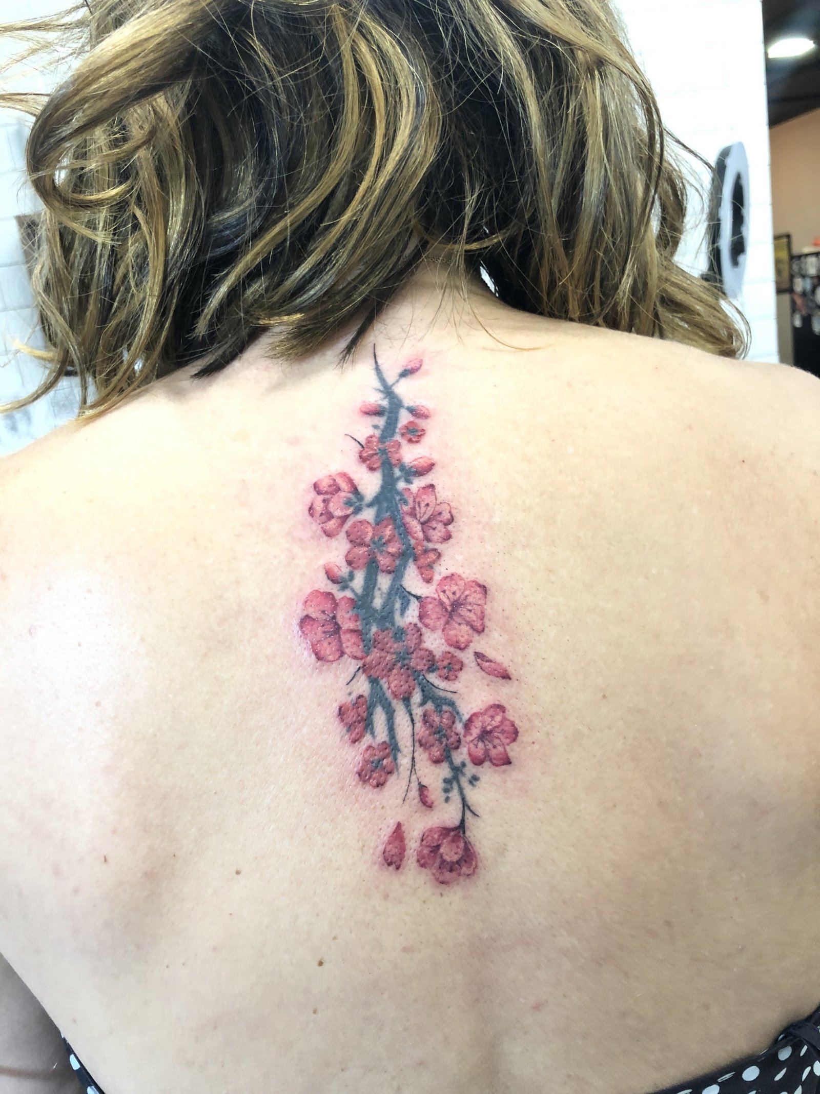 1j9ngvnjxzlg1b57c2plnjg