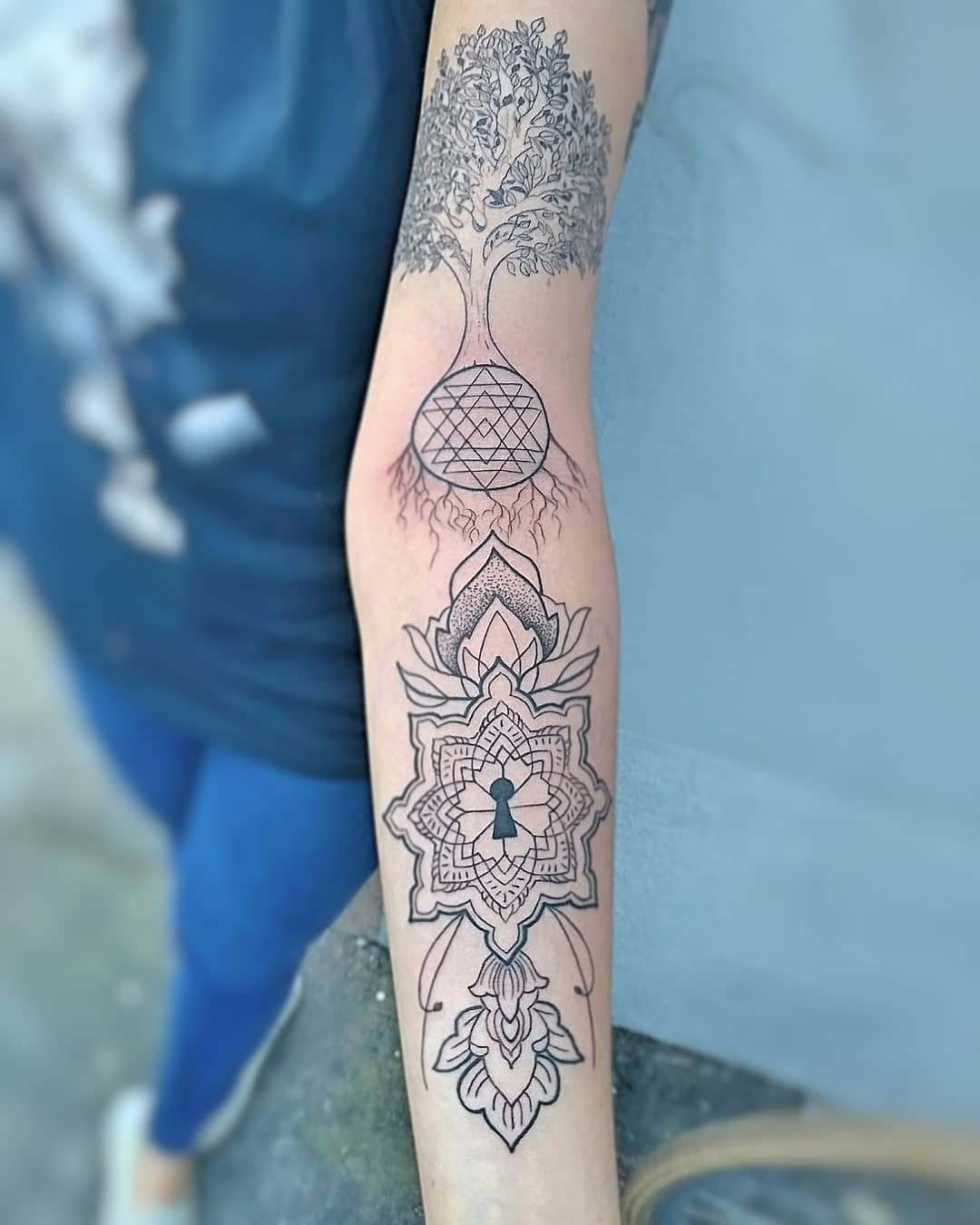 1kermop692rc1c1lawzeuoq