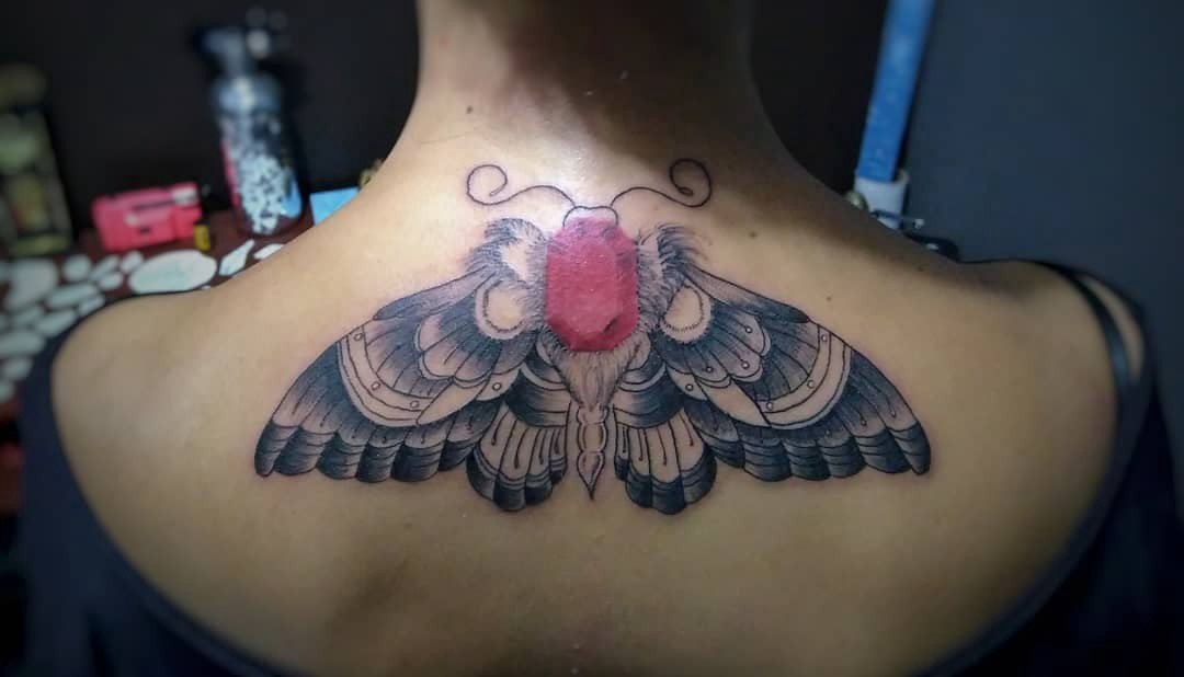 1khougklws9bdsctew3rj1g 1khougklws9bdsctew3rj1g