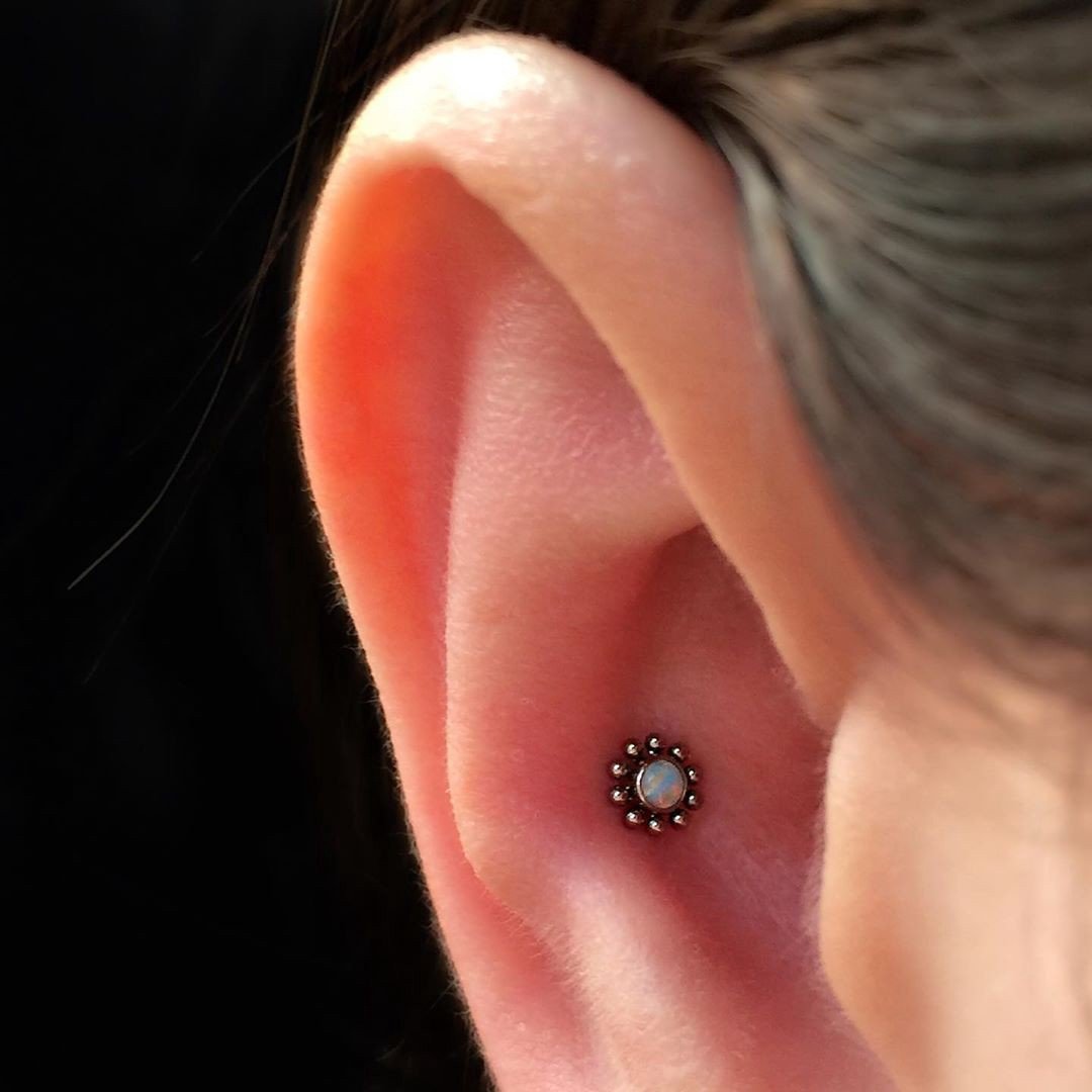 1kuktznoad1dr9_hankspjw 1kuktznoad1dr9 hankspjw