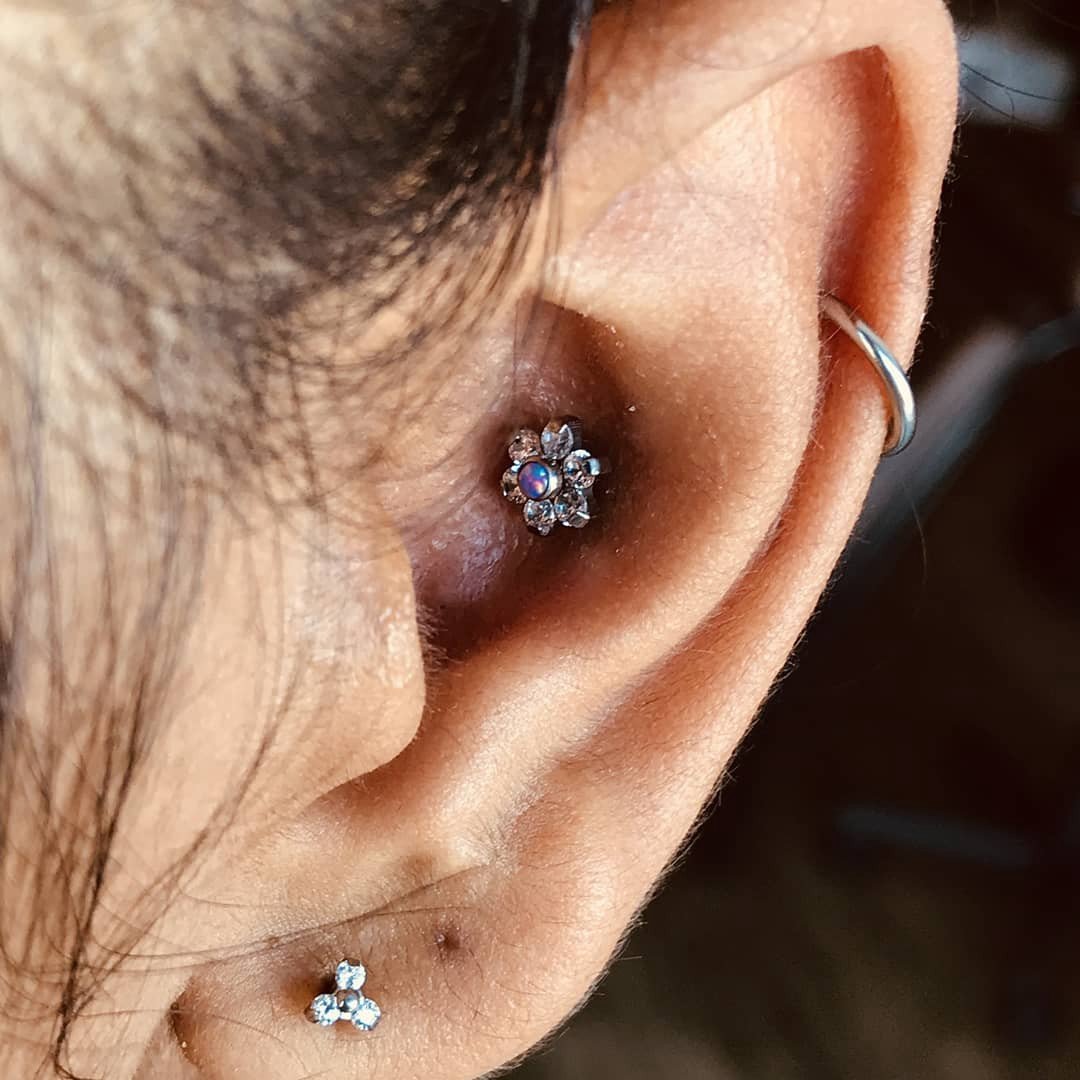 1kvrkmgrcavpycgidifoebg 1kvrkmgrcavpycgidifoebg