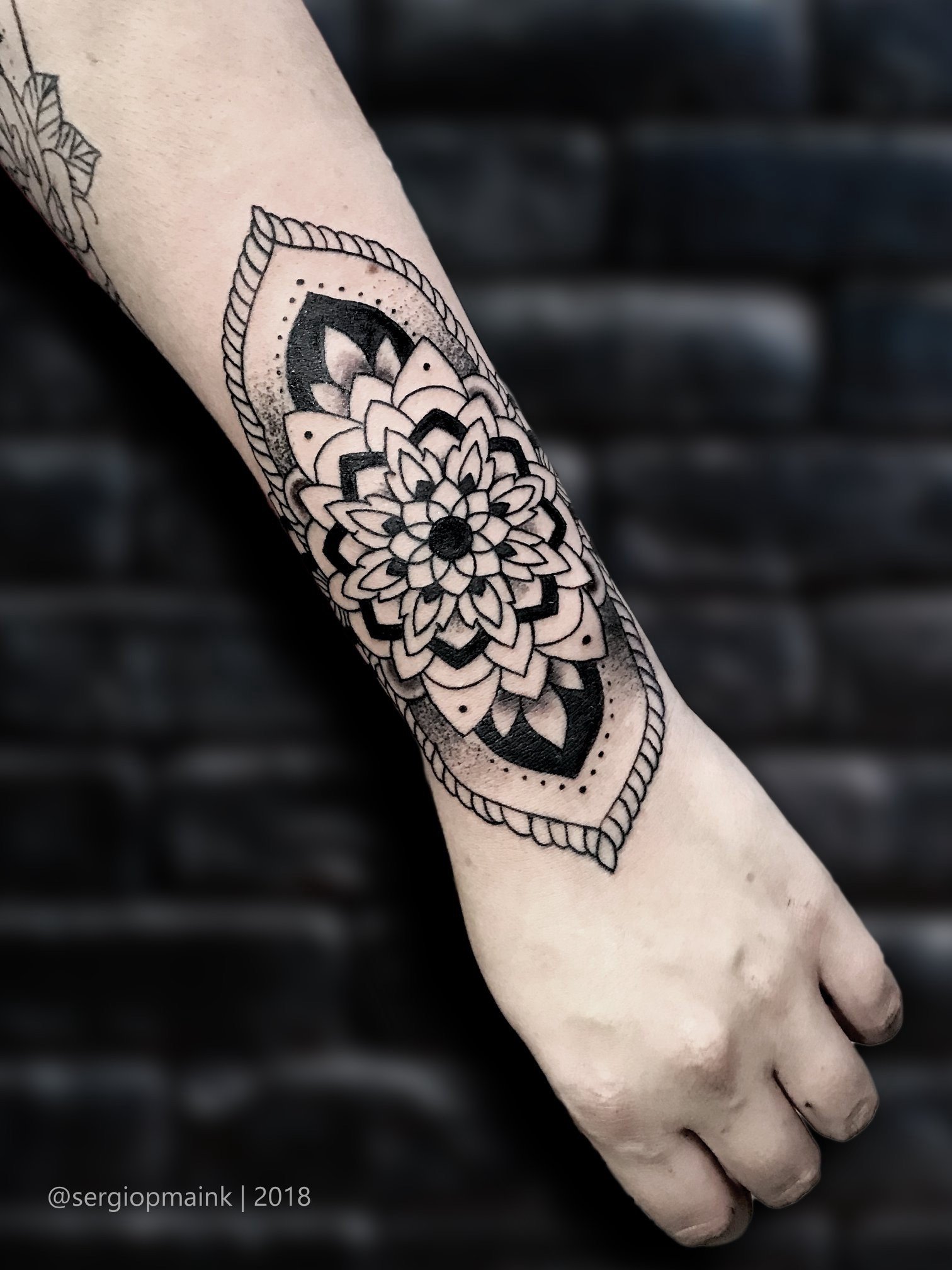 1kz-vpw-xfavfdto5cqpu0a 1kz vpw