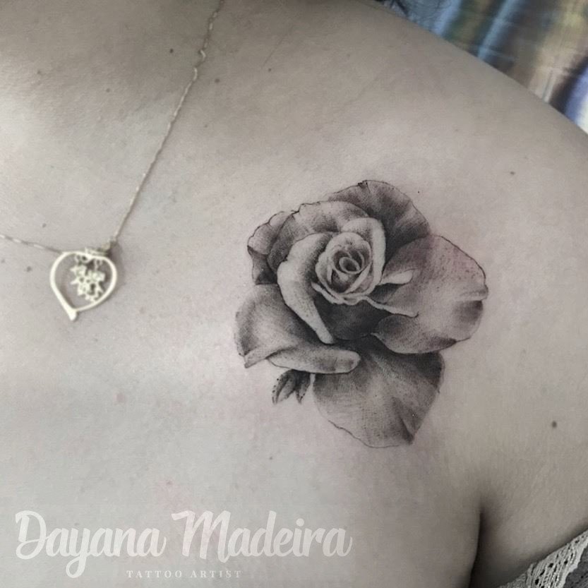 1lbriusyue2p8aovkv2yiia 1lbriusyue2p8aovkv2yiia