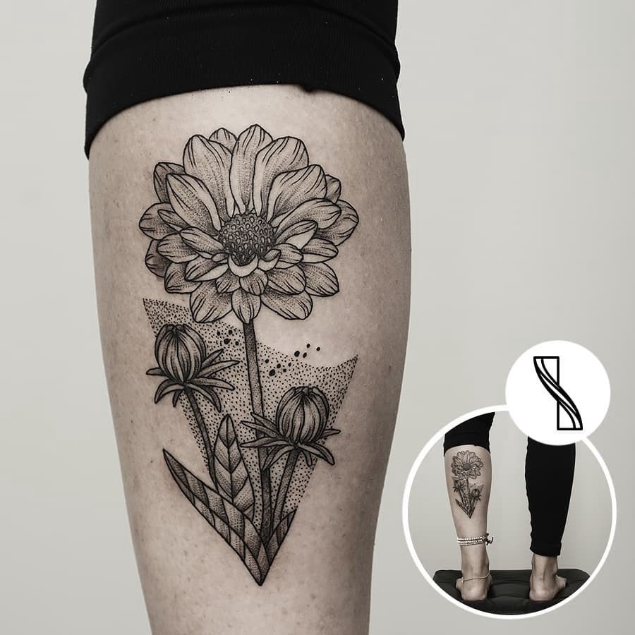 1m4o6bxat1phaobs5_ee7pw