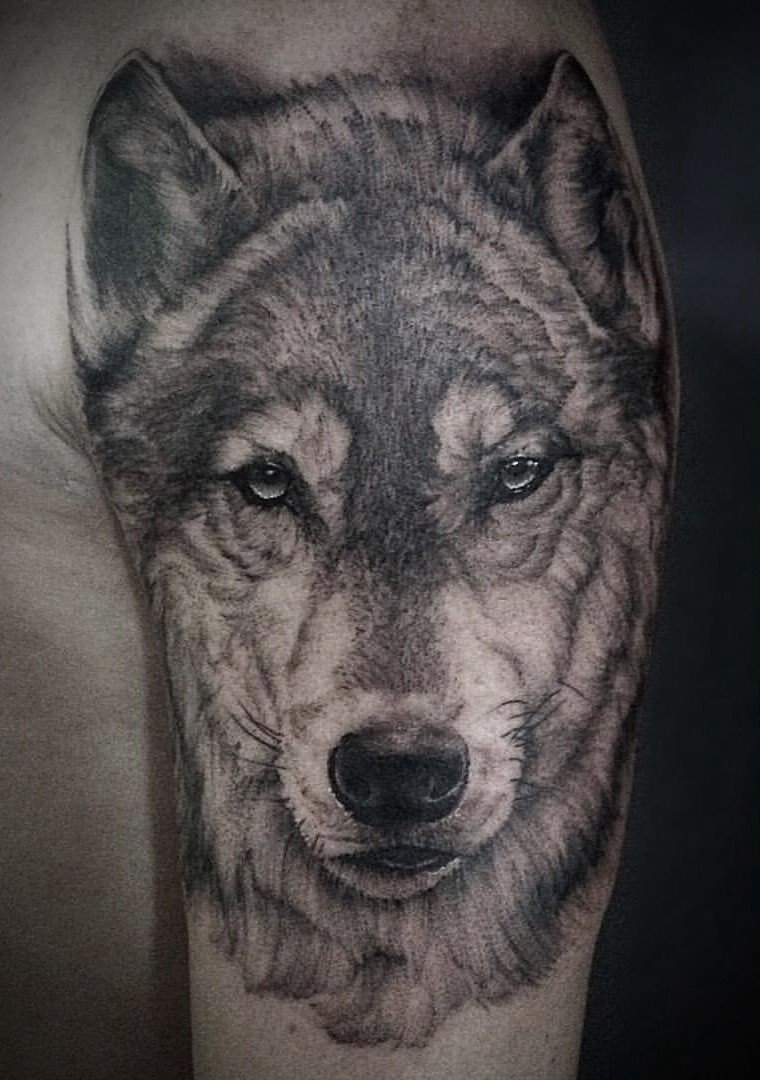 1maukk1oqiu_ib4afbcszla 1maukk1oqiu ib4afbcszla