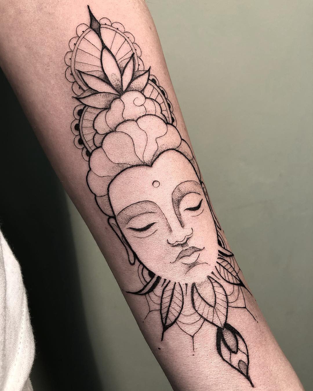 1meov0v0zvqzehv1vgwkyhq