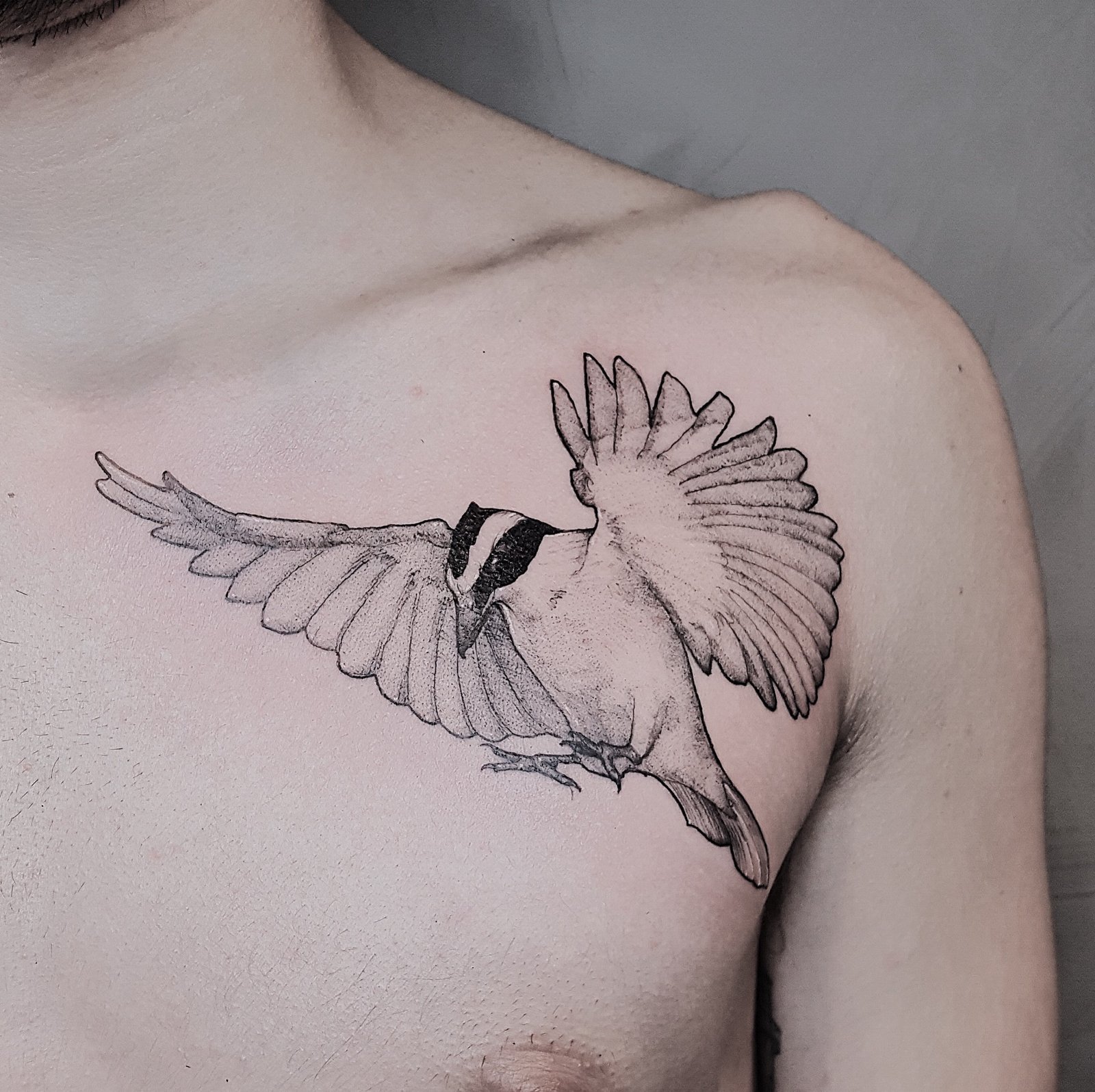 1mgce9mjkdzbuhftusyv_wg 1mgce9mjkdzbuhftusyv wg