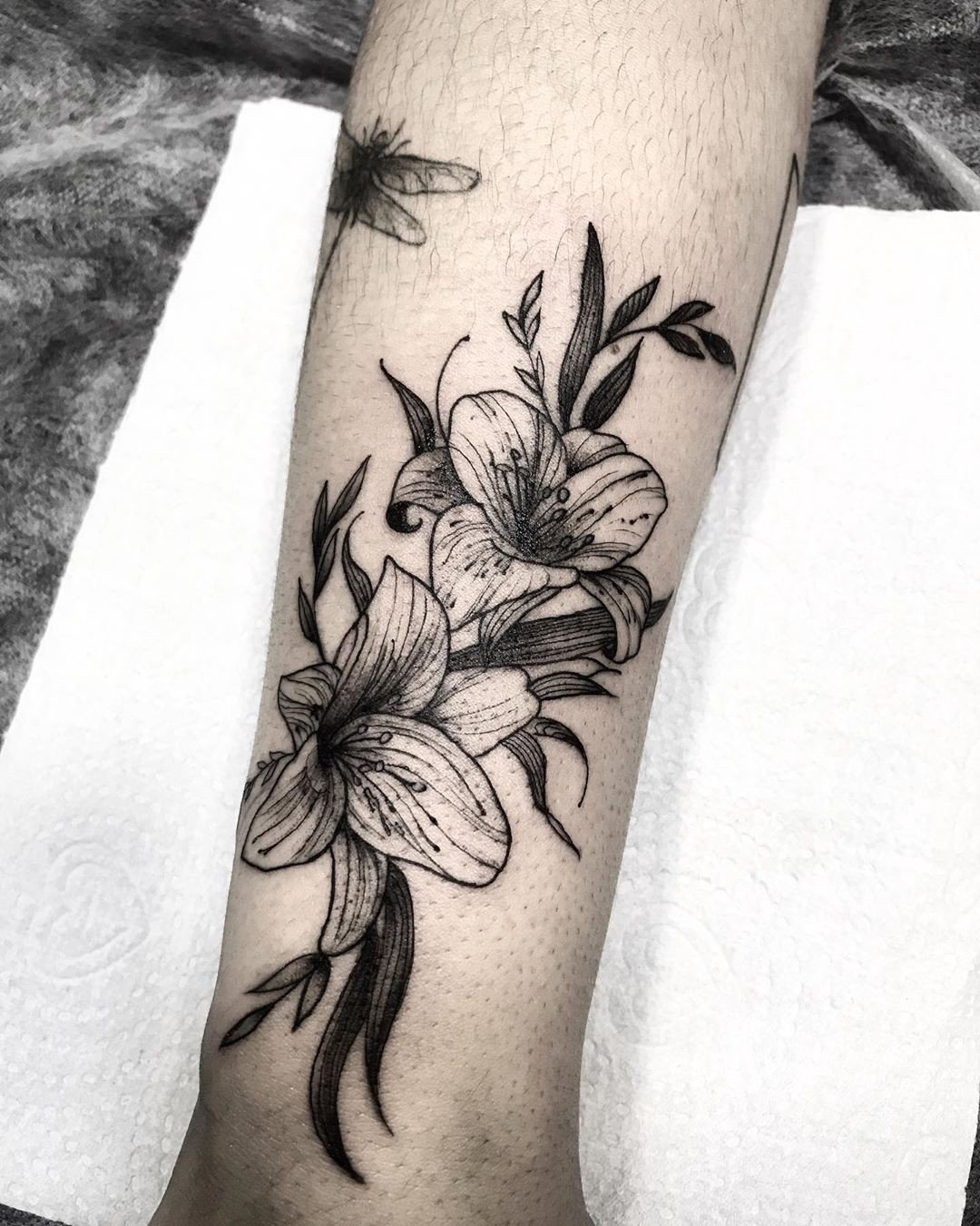 1mhrqgycucvzscgxbsbqhmg