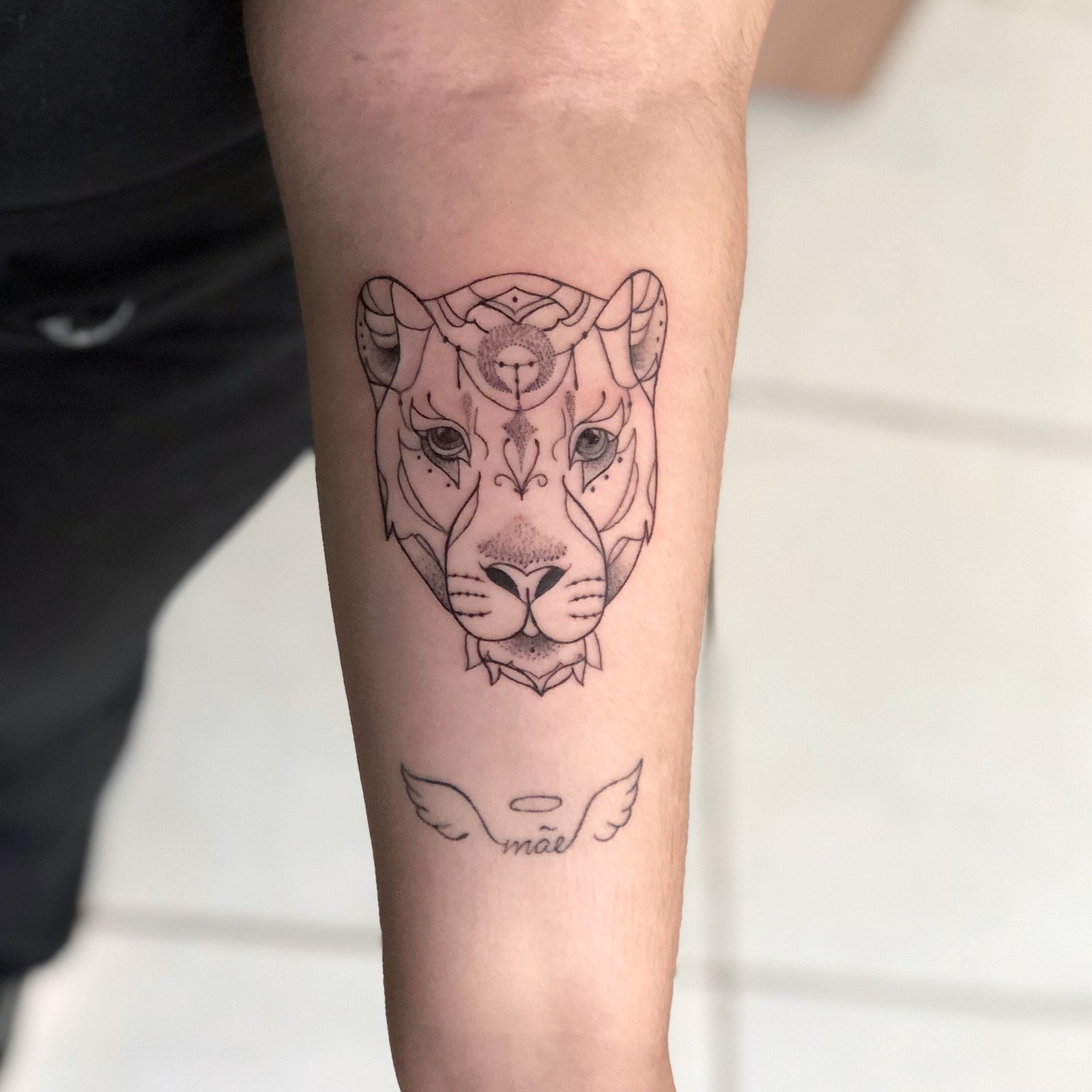 1mna28xsc9otdv3kfz_y4ia