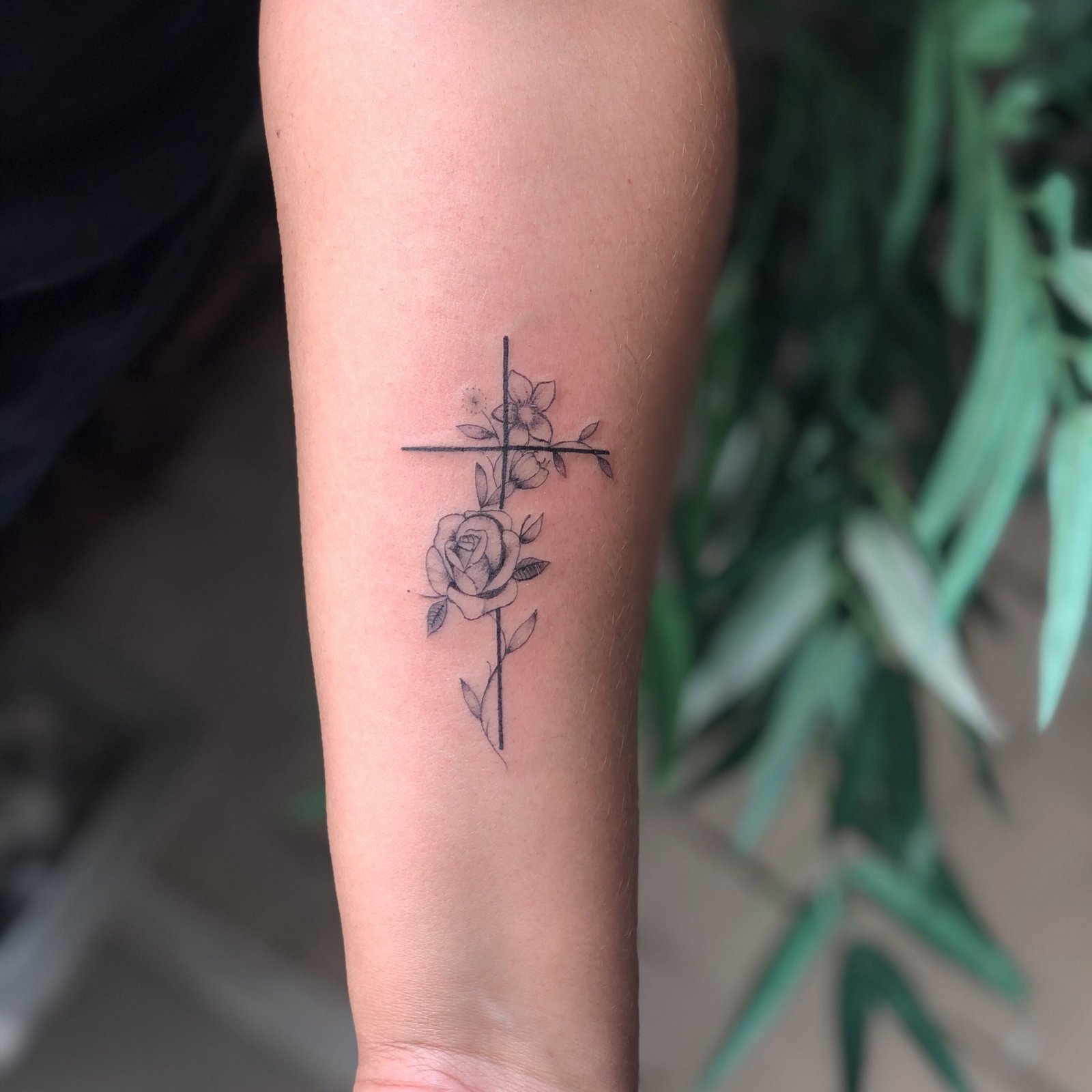 1n_flgijckyudd8x44qin1q