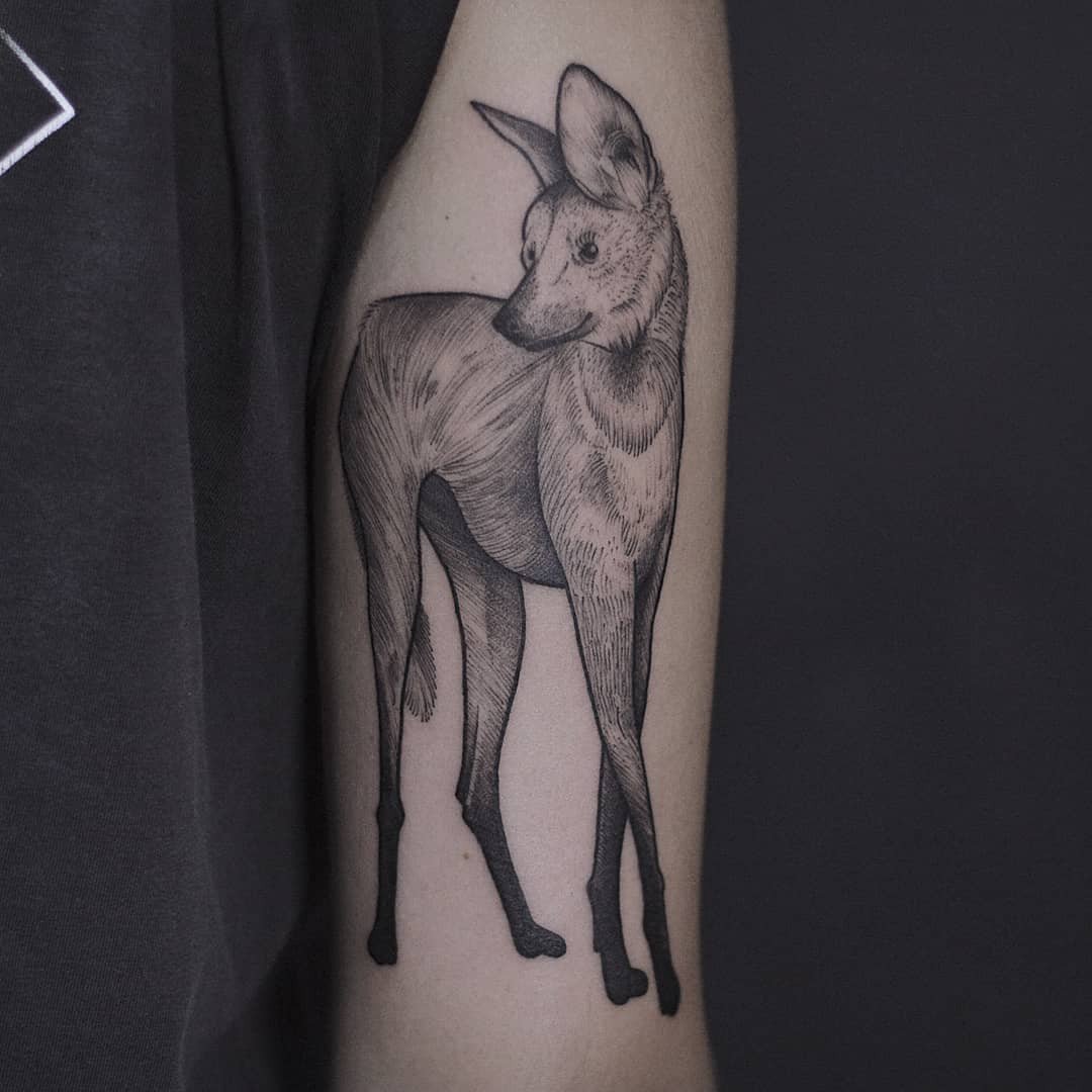 1njsn80wrk1pfheleziajew 1njsn80wrk1pfheleziajew