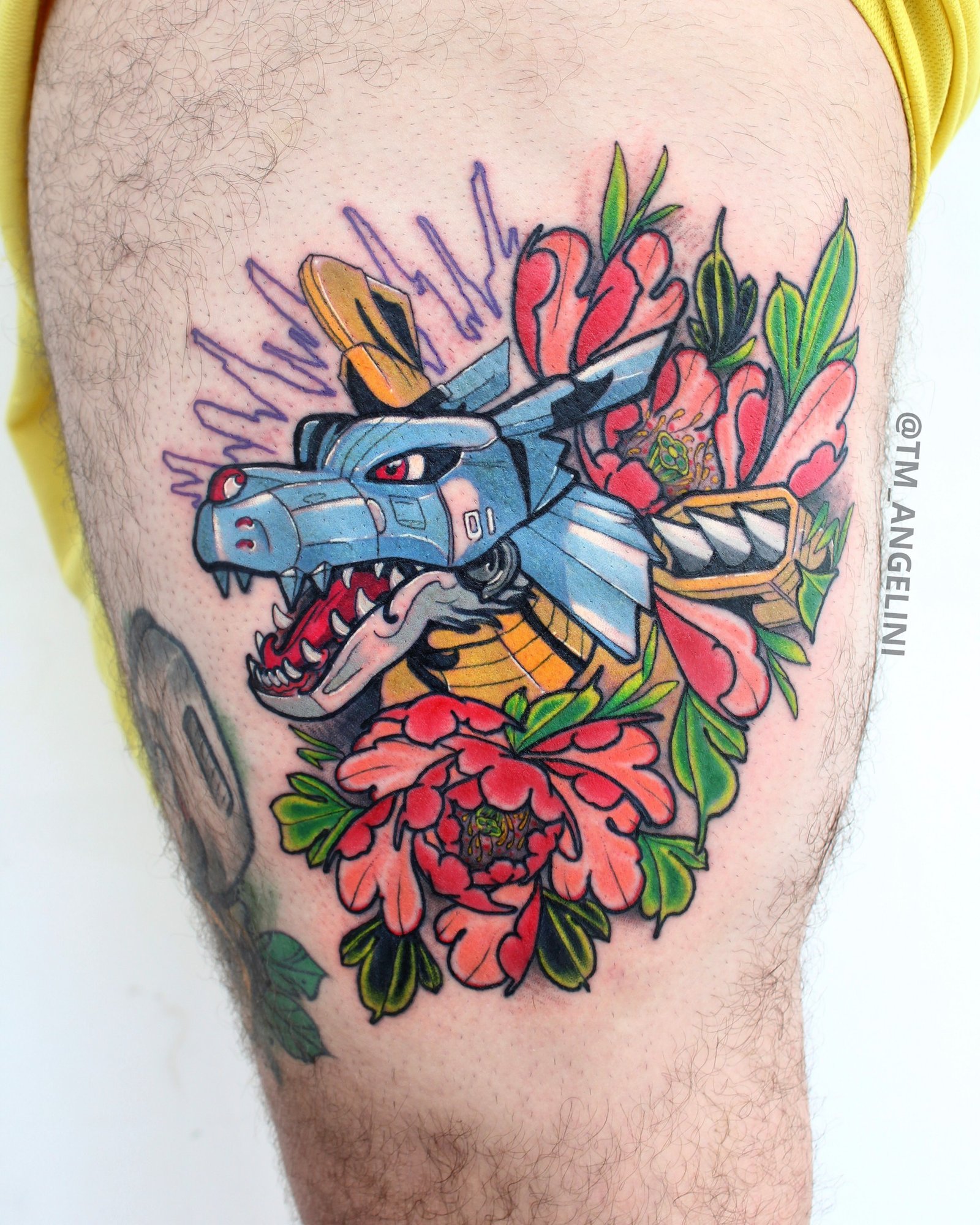 1nrj_v3xa7gdstlyhmmg_1g