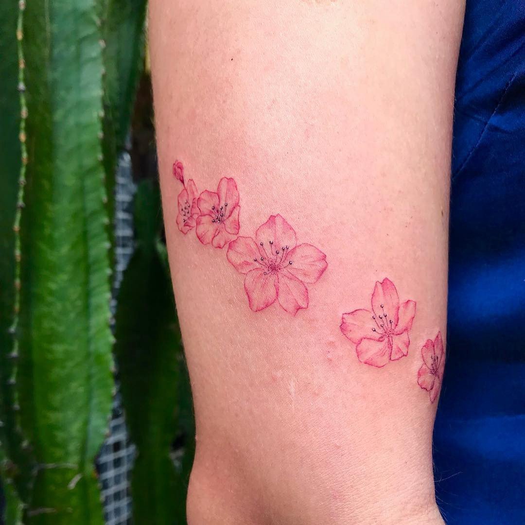 1ns8i2impwdnt5wu8g7t5sa 1ns8i2impwdnt5wu8g7t5sa