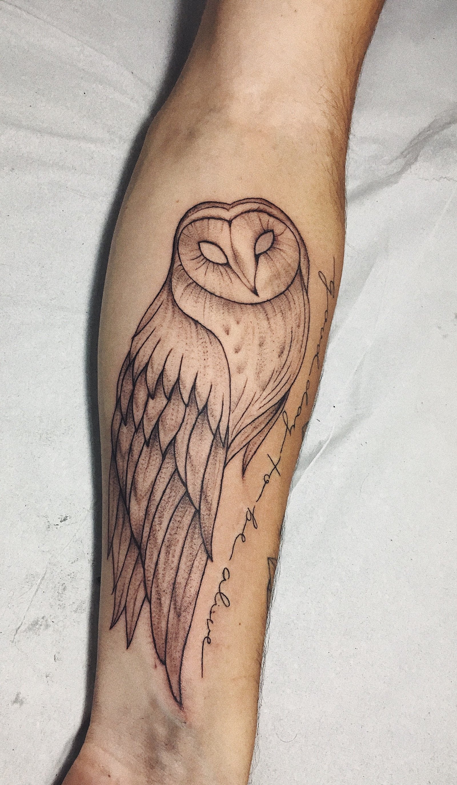 1o2ywwinyej8h2al5wjst5a 1o2ywwinyej8h2al5wjst5a