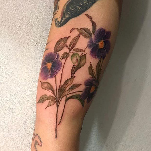 1obtaugup68f_scvwhz8wzg 1obtaugup68f scvwhz8wzg